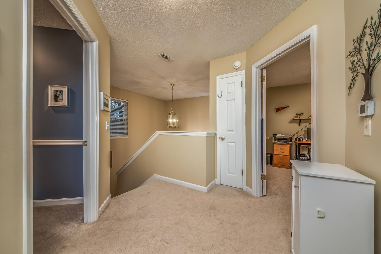 705 Hurricane Ridge Circle Chattanooga, TN 37421 - Photo 18 of 30 Landing to Stairs.jpg