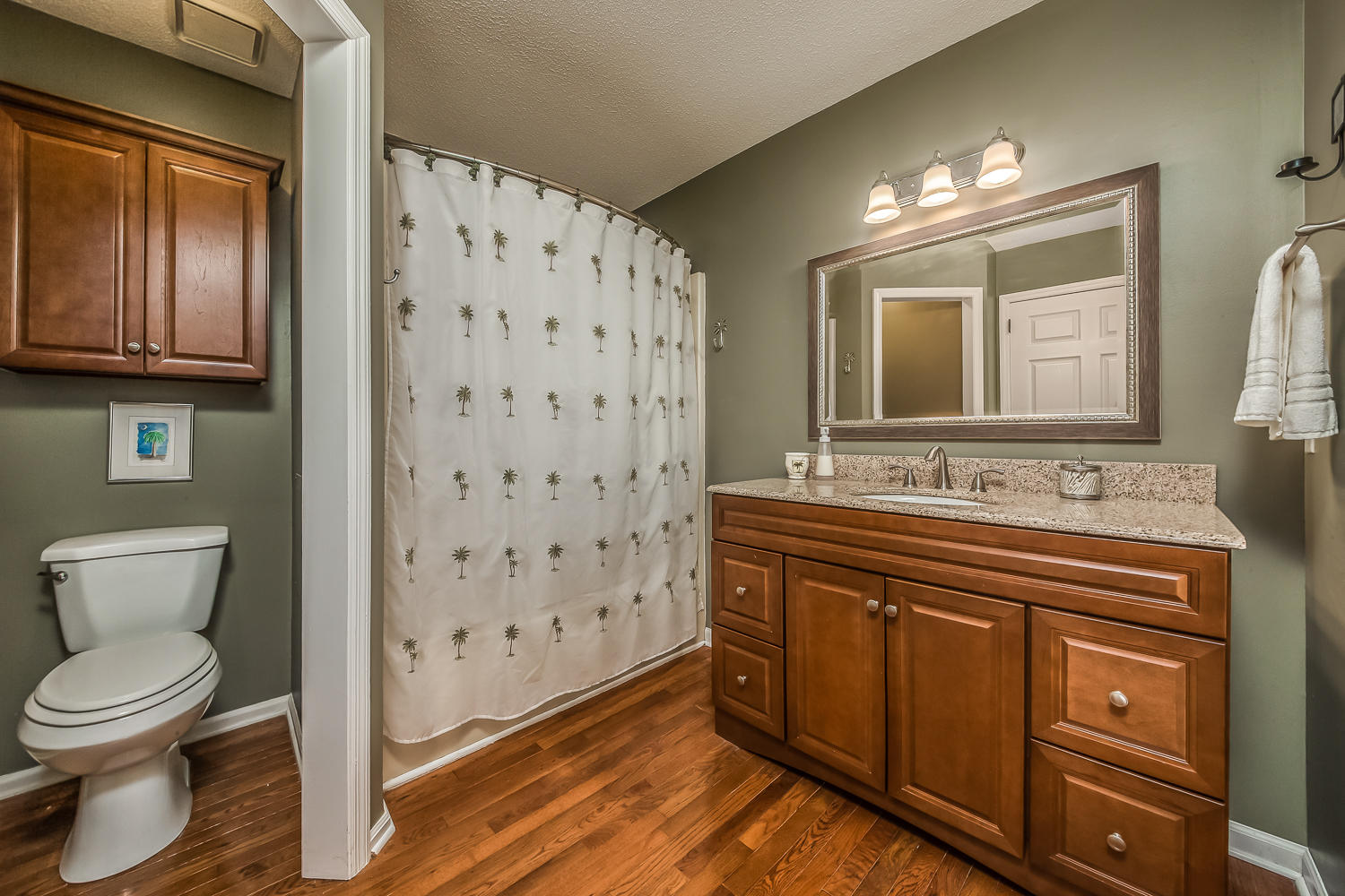 705 Hurricane Ridge Circle Chattanooga, TN 37421 - Photo 20 of 30 Master Bath.jpg