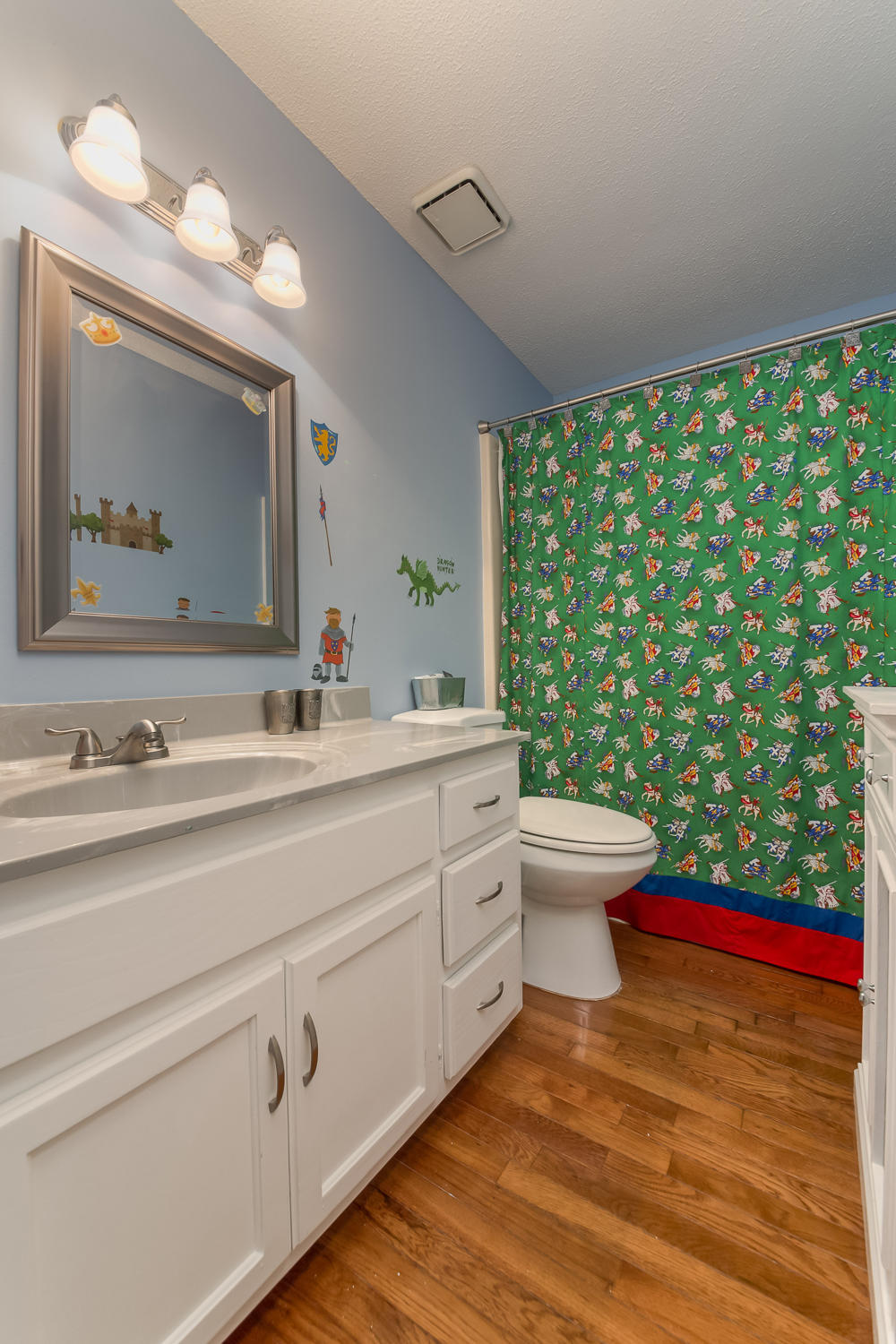 705 Hurricane Ridge Circle Chattanooga, TN 37421 - Photo 22 of 30 Hall Bathroom.jpg