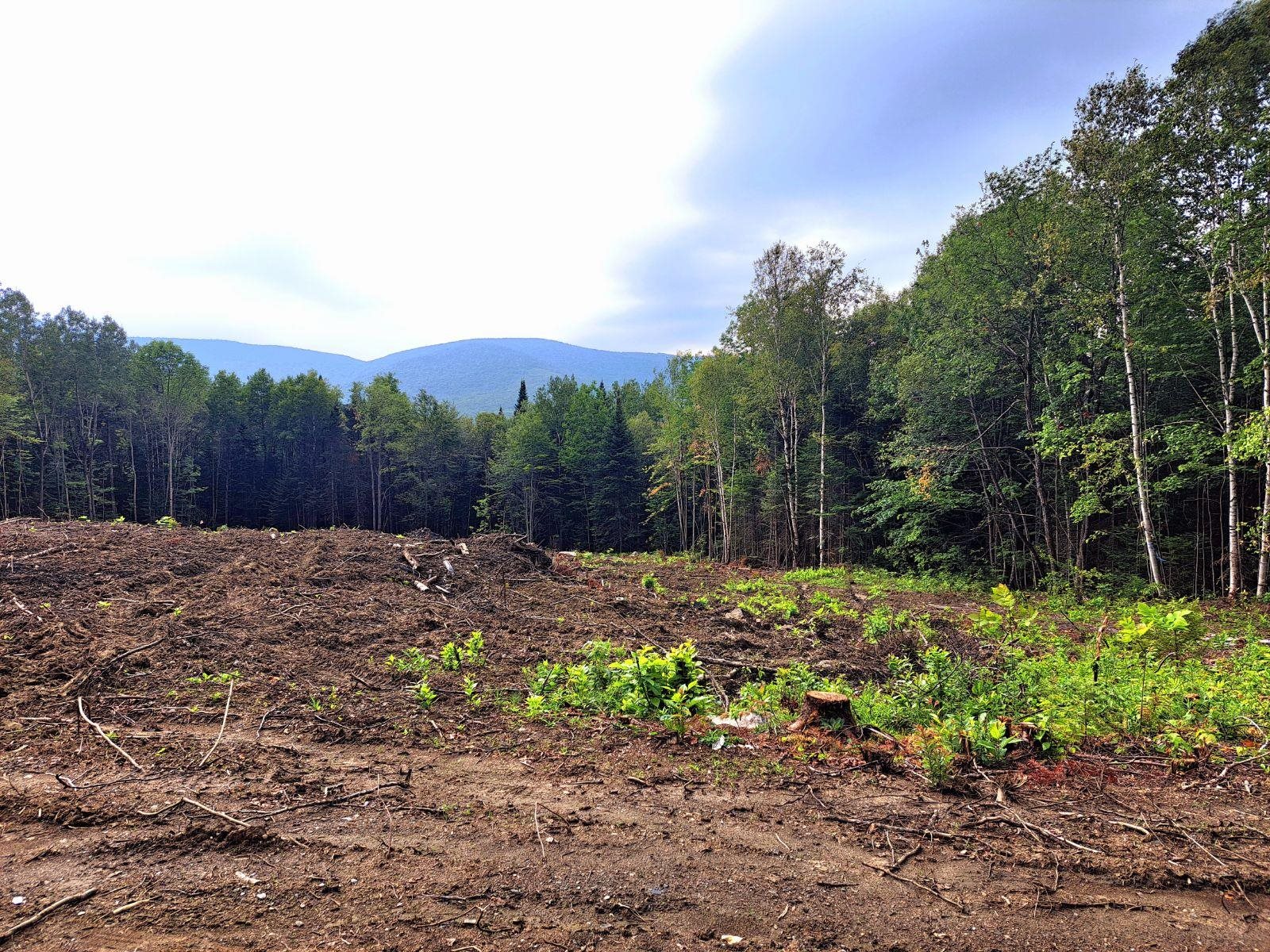 Lot 16 Oakes Road Colebrook, NH 03576 - Photo 8 of 13