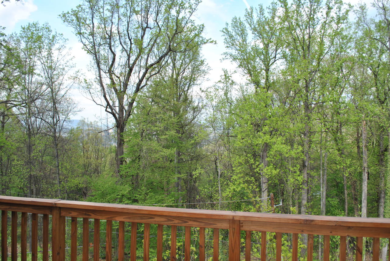 3015 Burnleigh Road Southwest Roanoke, VA 24014 - Photo 10 of 15 View