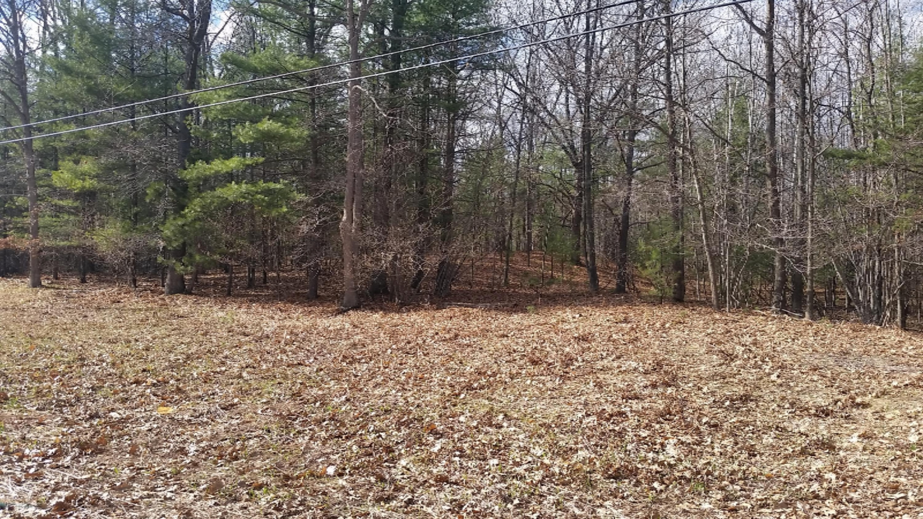 4800 West Decker Road Ludington, MI 49431 - Photo 1 of 8 decker5