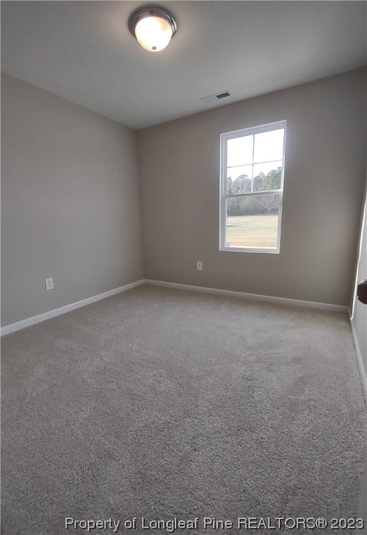 276 Ray Byrd Road Lillington, NC 27546 - Photo 31 of 33 Gallery Image 31
