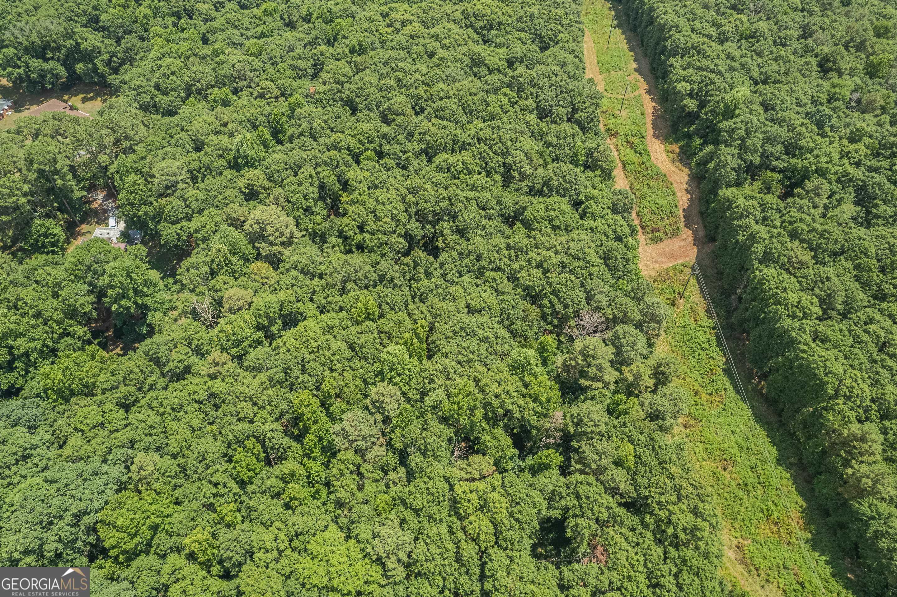 0 Harper Lane Royston, GA 30662 - Photo 12 of 18 a view of a lush green forest