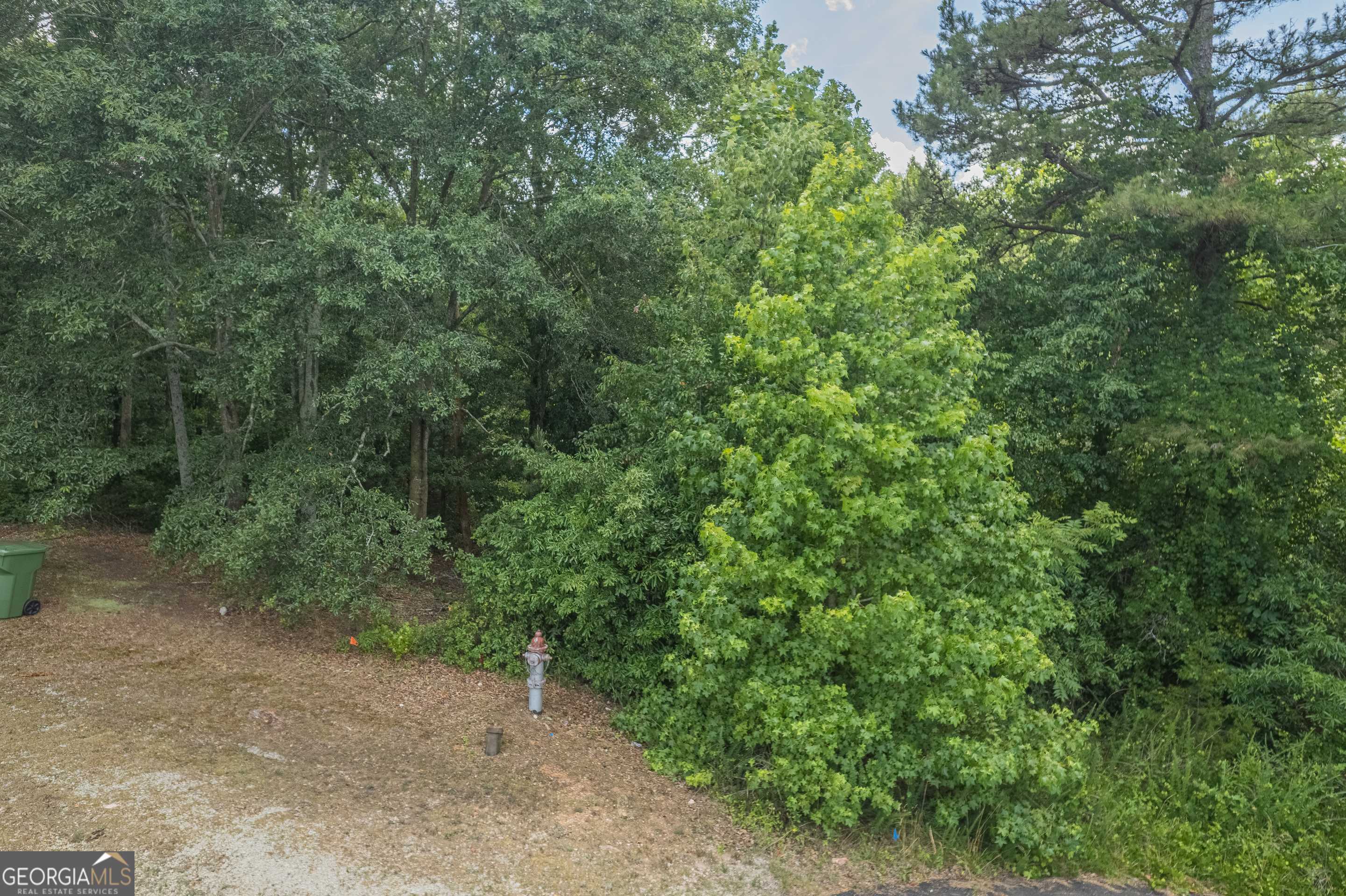 0 Harper Lane Royston, GA 30662 - Photo 14 of 18 a view of a forest with a tree
