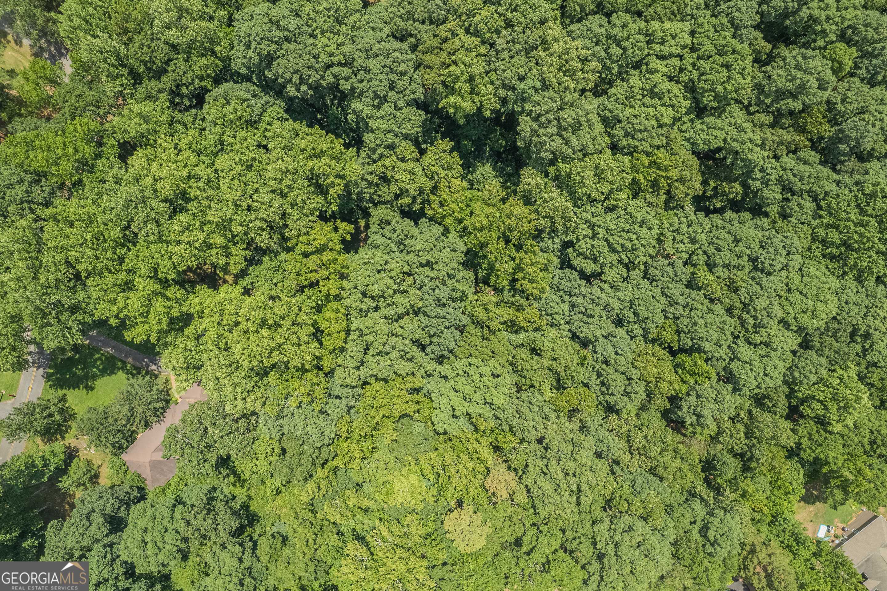 0 Harper Lane Royston, GA 30662 - Photo 15 of 18 a view of a lush green forest with a tree
