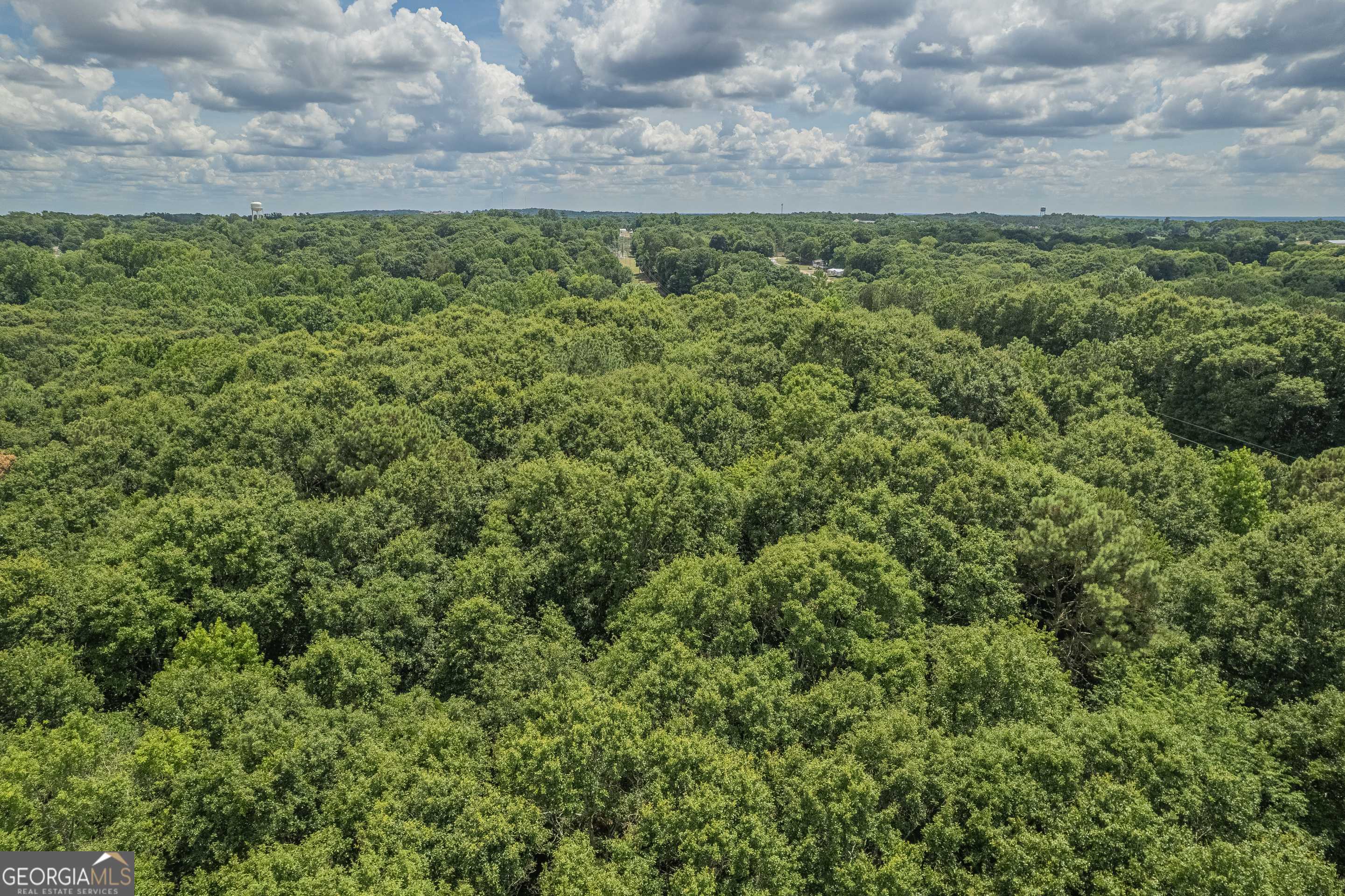 0 Harper Lane Royston, GA 30662 - Photo 16 of 18 a view of a yard