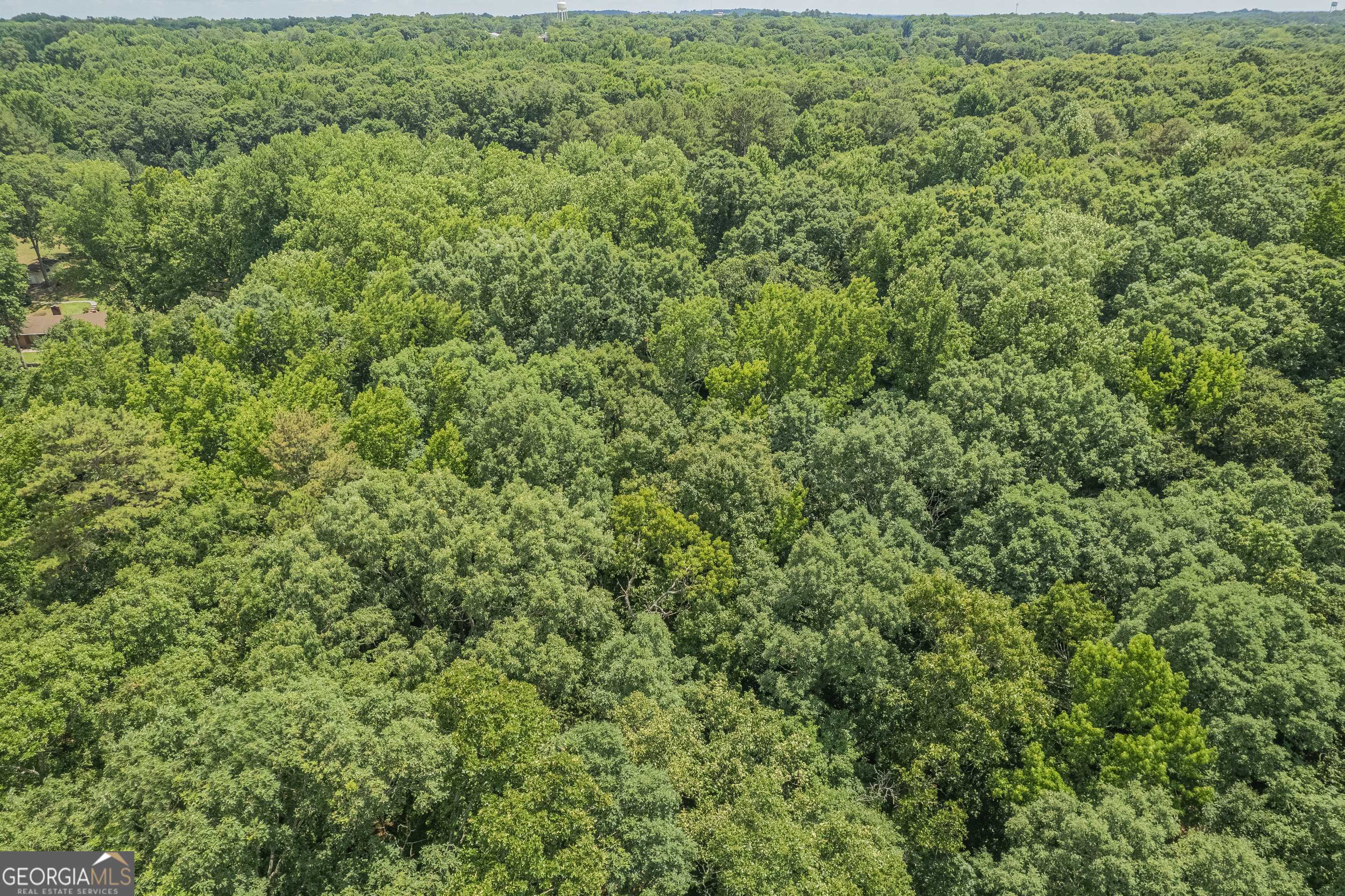 0 Harper Lane Royston, GA 30662 - Photo 18 of 18 a view of a large yard with lots of green space