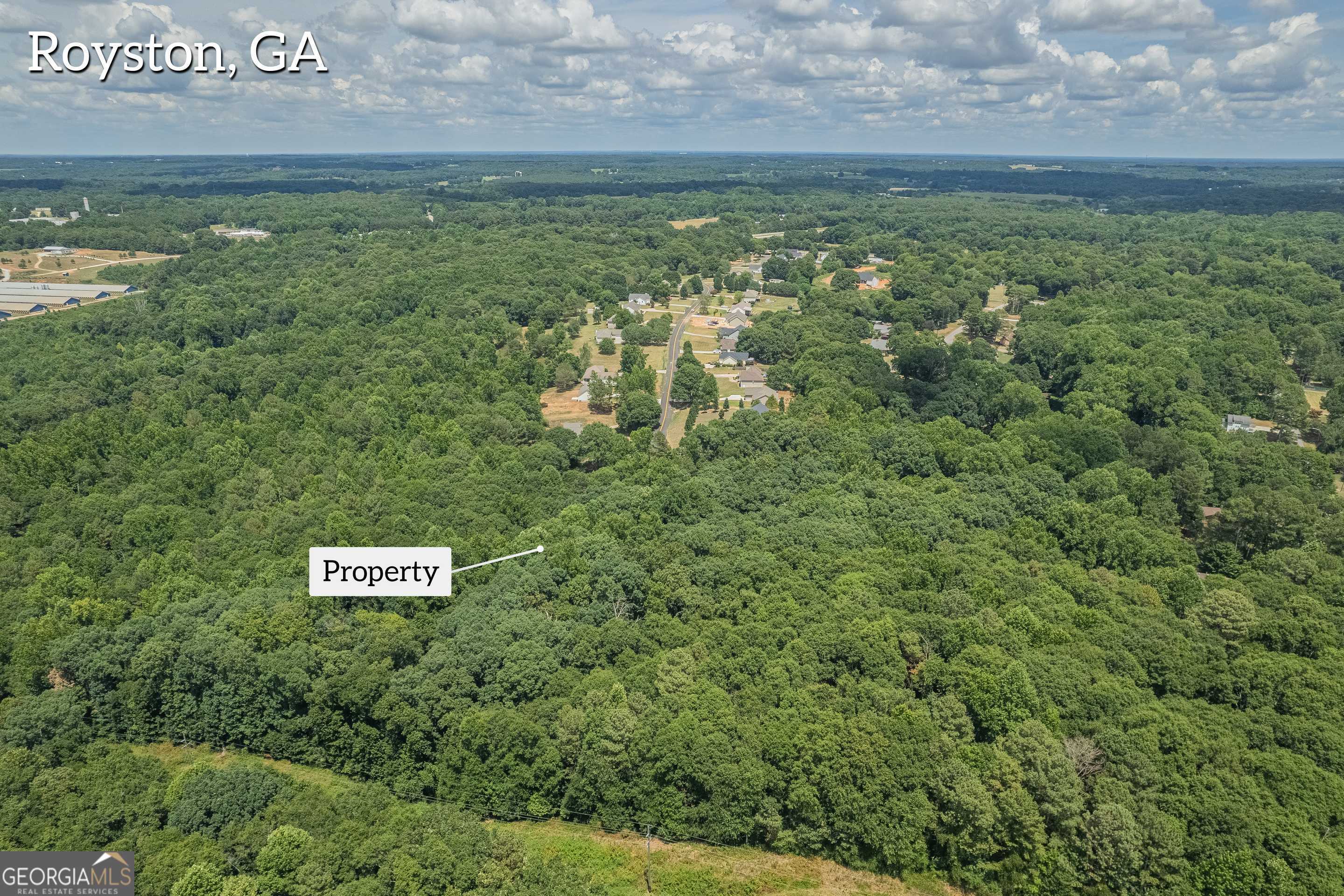 0 Harper Lane Royston, GA 30662 - Photo 4 of 18 a view of a bunch of trees
