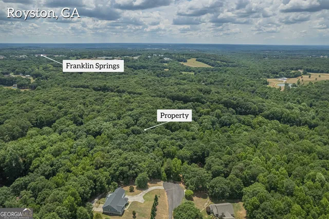 a view of a lush green forest