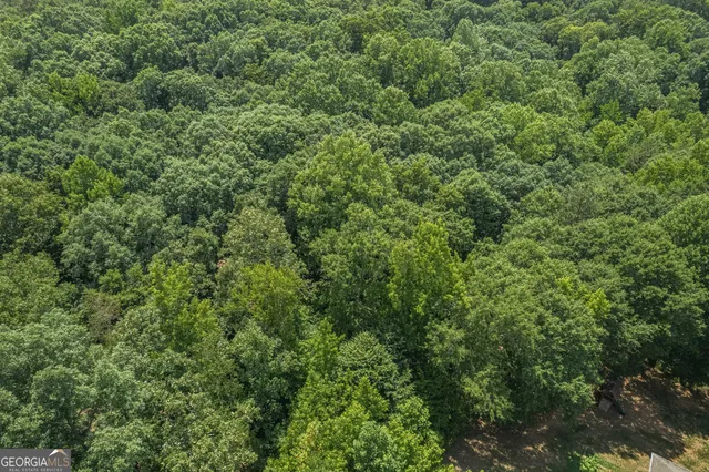 a view of a yard with plants