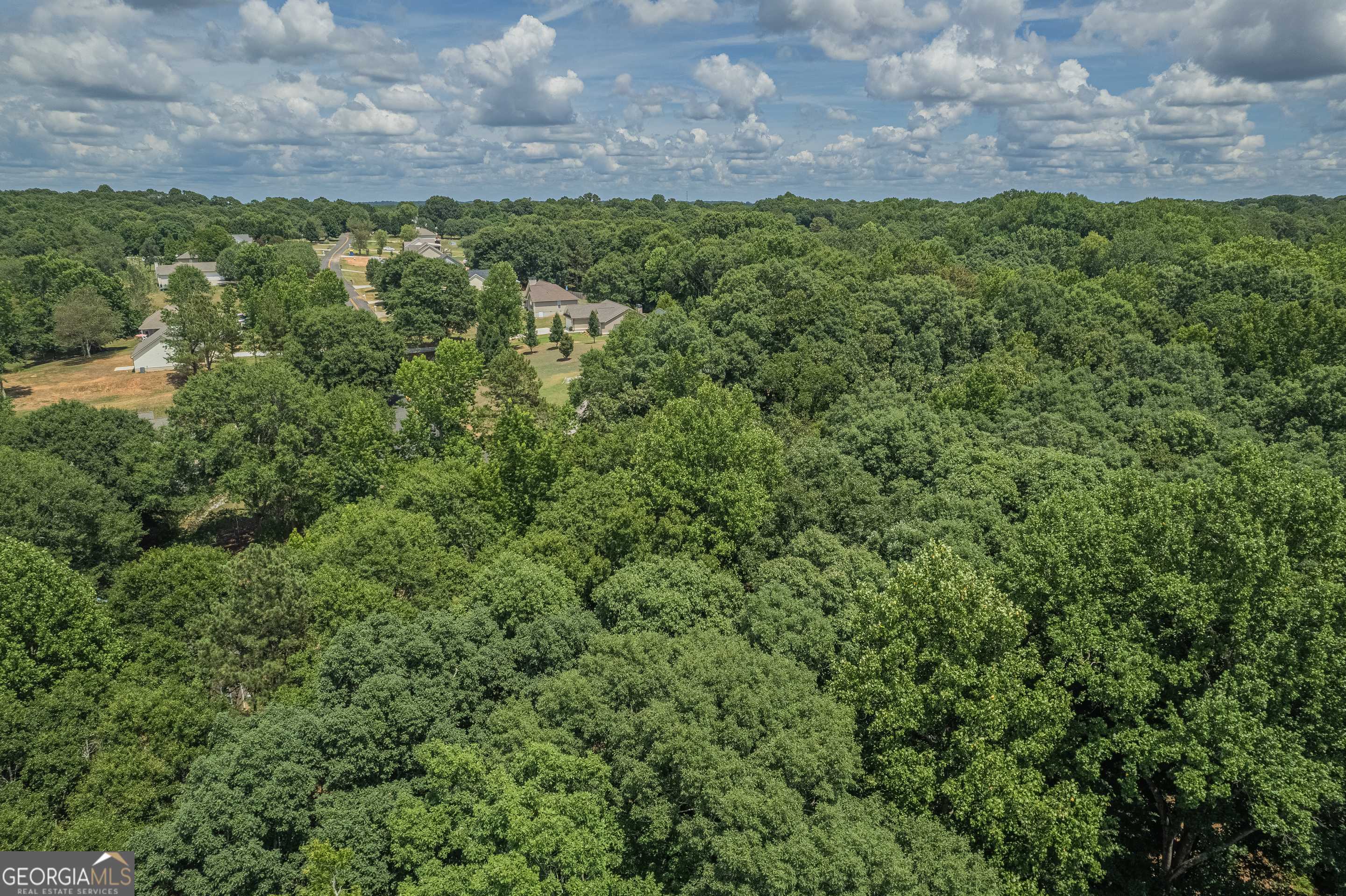 0 Harper Lane Royston, GA 30662 - Photo 8 of 18 a view of a yard with an outdoor space