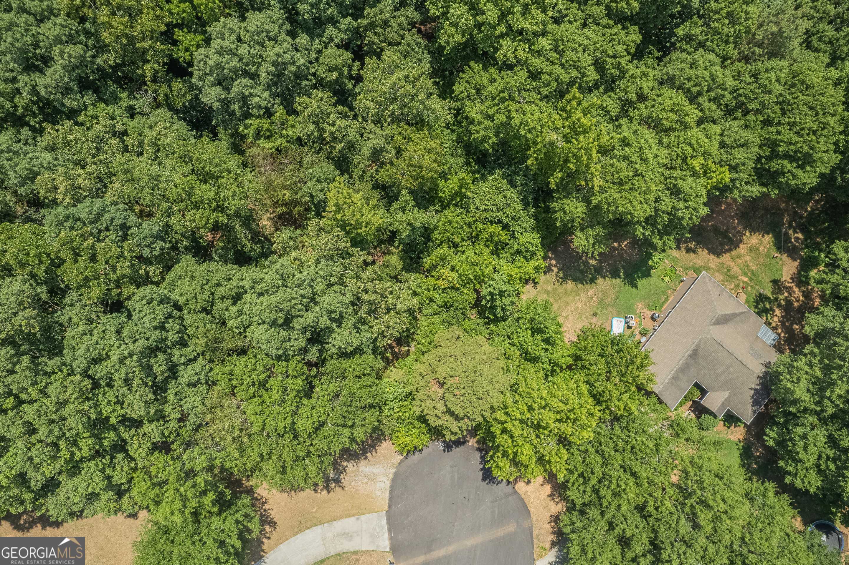 0 Harper Lane Royston, GA 30662 - Photo 9 of 18