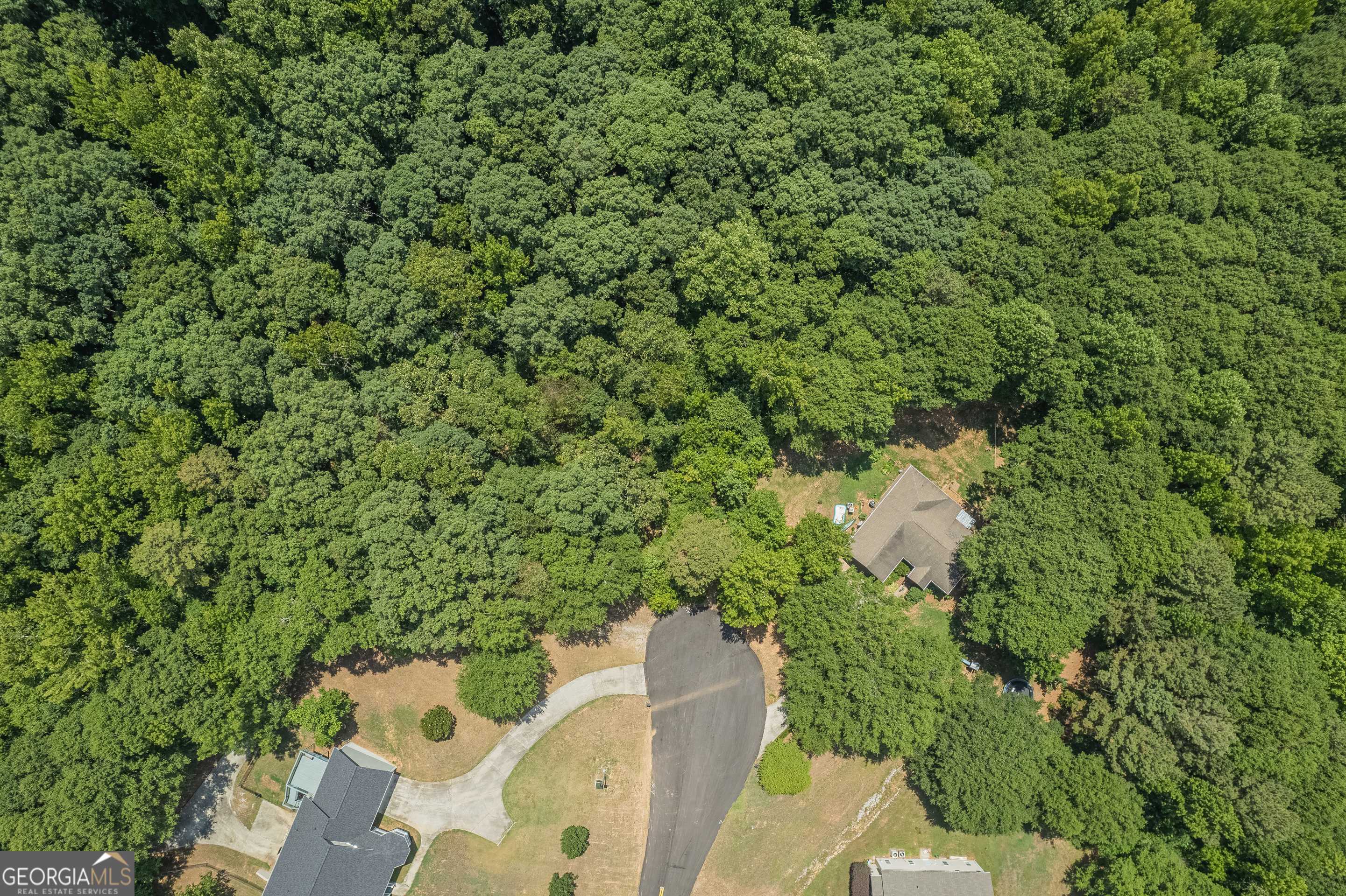 0 Harper Lane Royston, GA 30662 - Photo 10 of 18 a view of a yard with plants