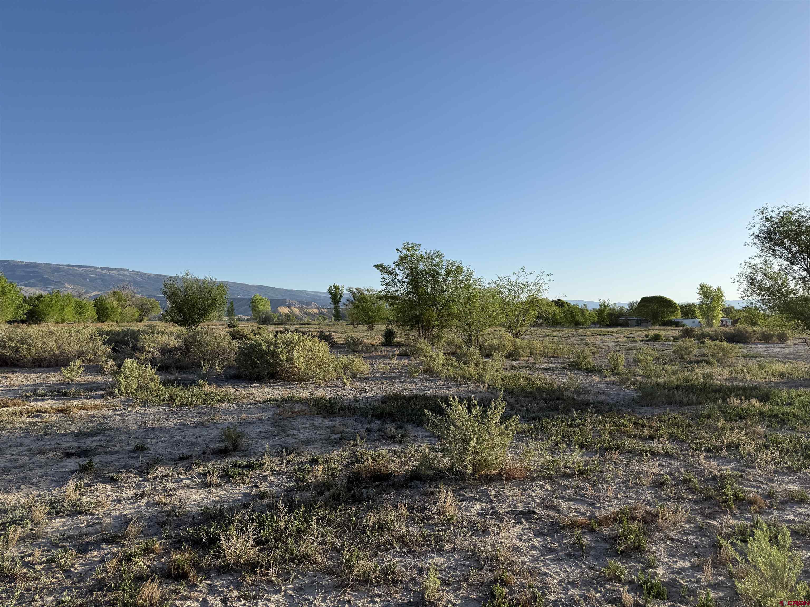 1475 And Tbd Highway Delta, CO 81416 - Photo 2 of 16 a view of a yard with plants and trees