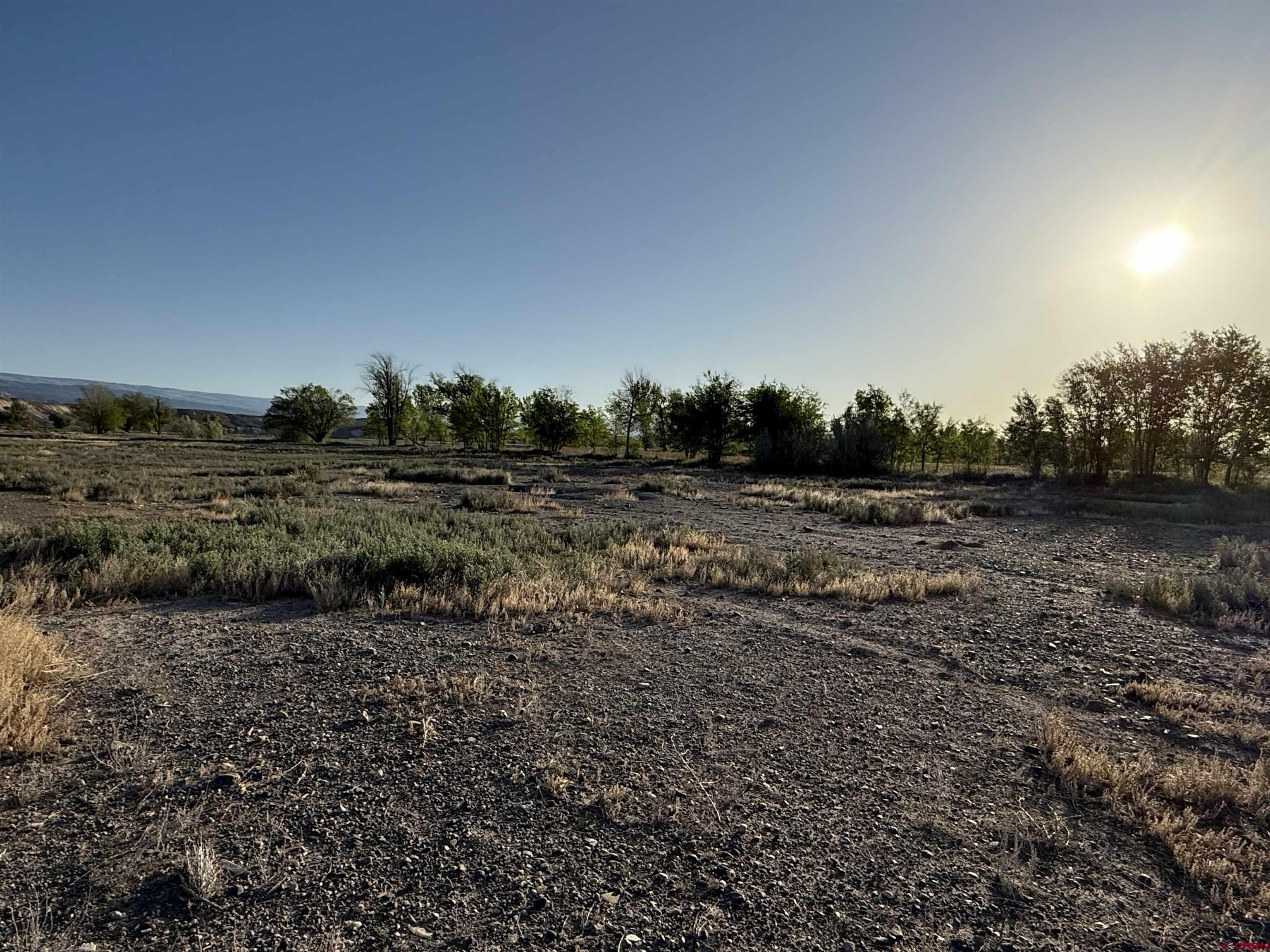 1475 And Tbd Highway Delta, CO 81416 - Photo 9 of 16 a view of a field with trees in background