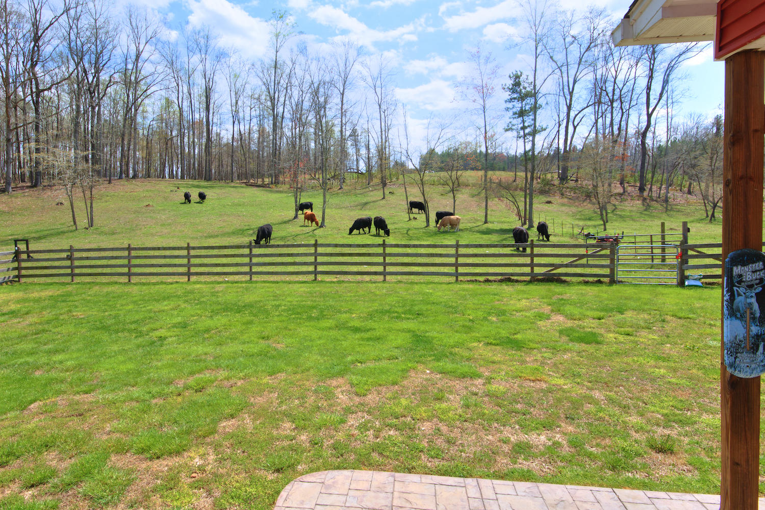 1424 Colbert Hollow Road Rock Spring, GA 30739 - Photo 23 of 24 Backyard tranquility