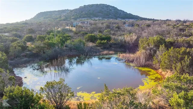 a view of a lake in middle of the forest