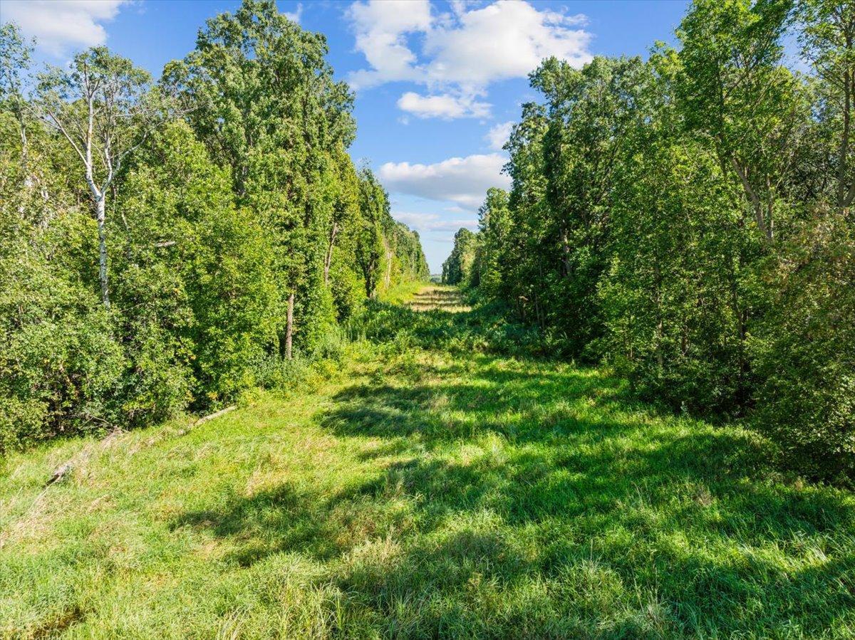 2389 Highway 63 Clear Lake, WI 54005 - Photo 8 of 12