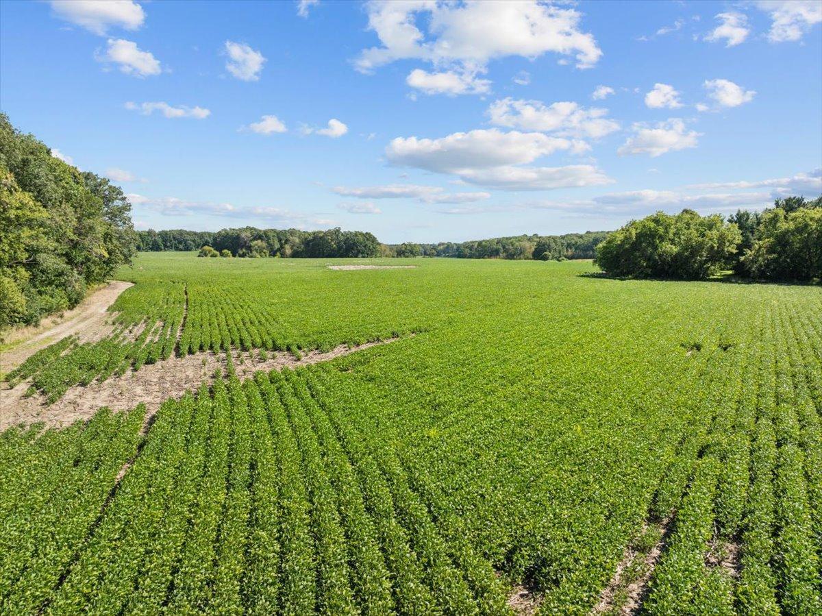 2389 Highway 63 Clear Lake, WI 54005 - Photo 9 of 12