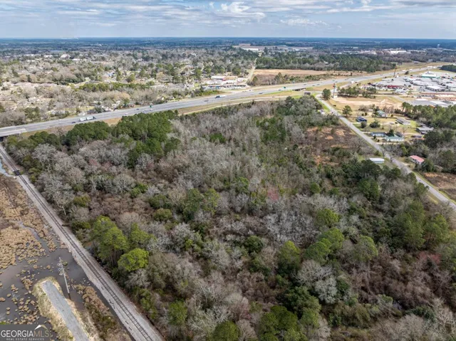 a view of a forest with a tree
