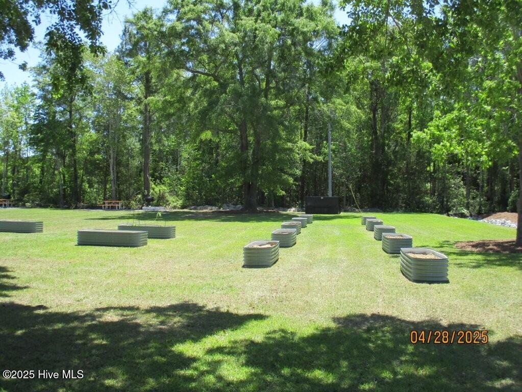 113 Long Pond Loop Swansboro, NC 28584 - Photo 25 of 28 25