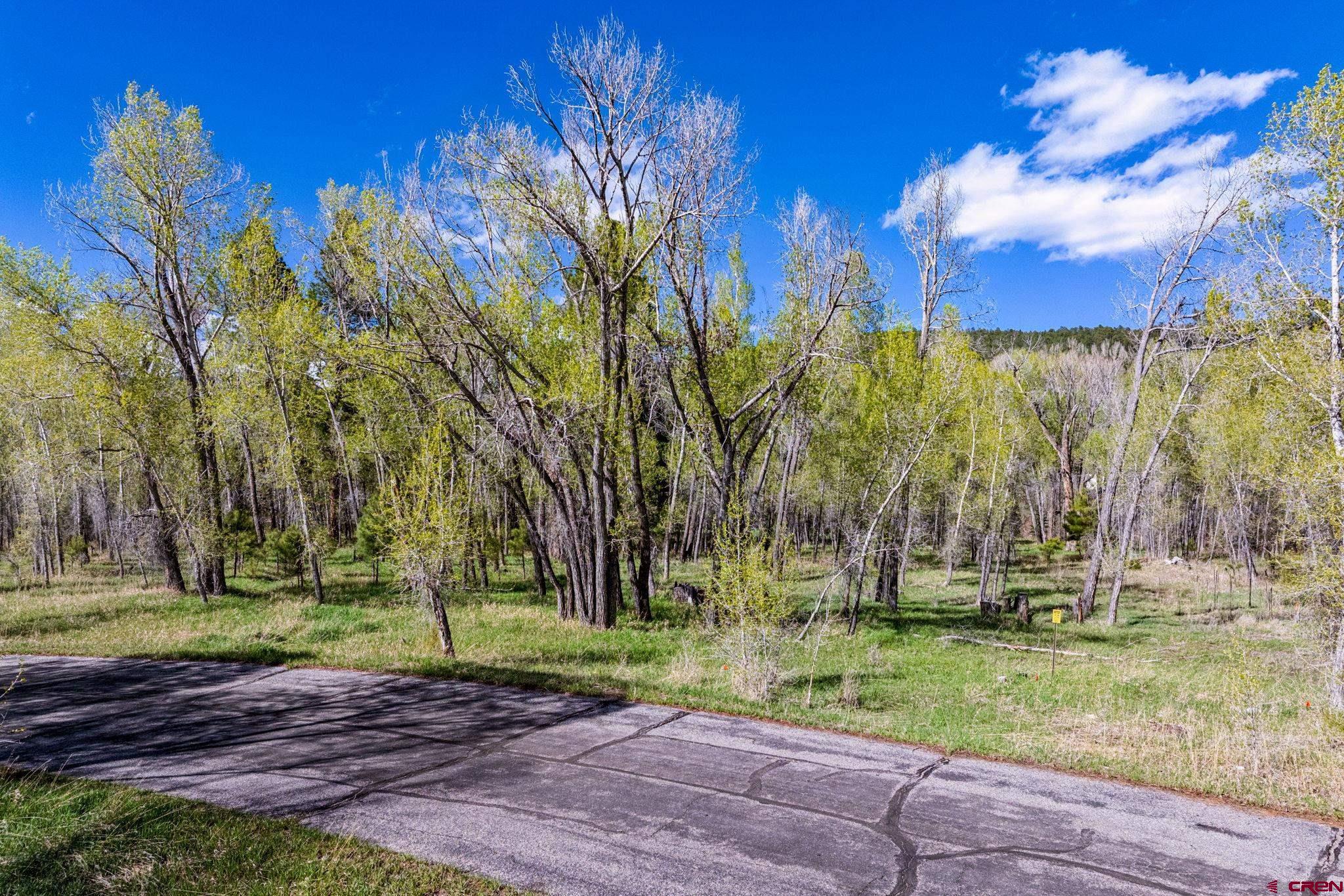 65 Pinestone Drive Bayfield, CO 81122 - Photo 12 of 35