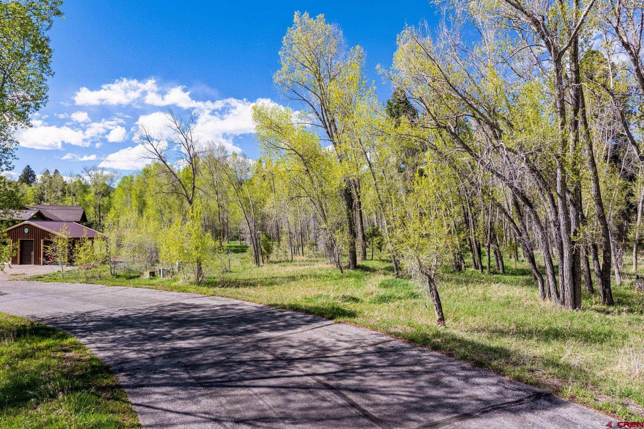 65 Pinestone Drive Bayfield, CO 81122 - Photo 13 of 35