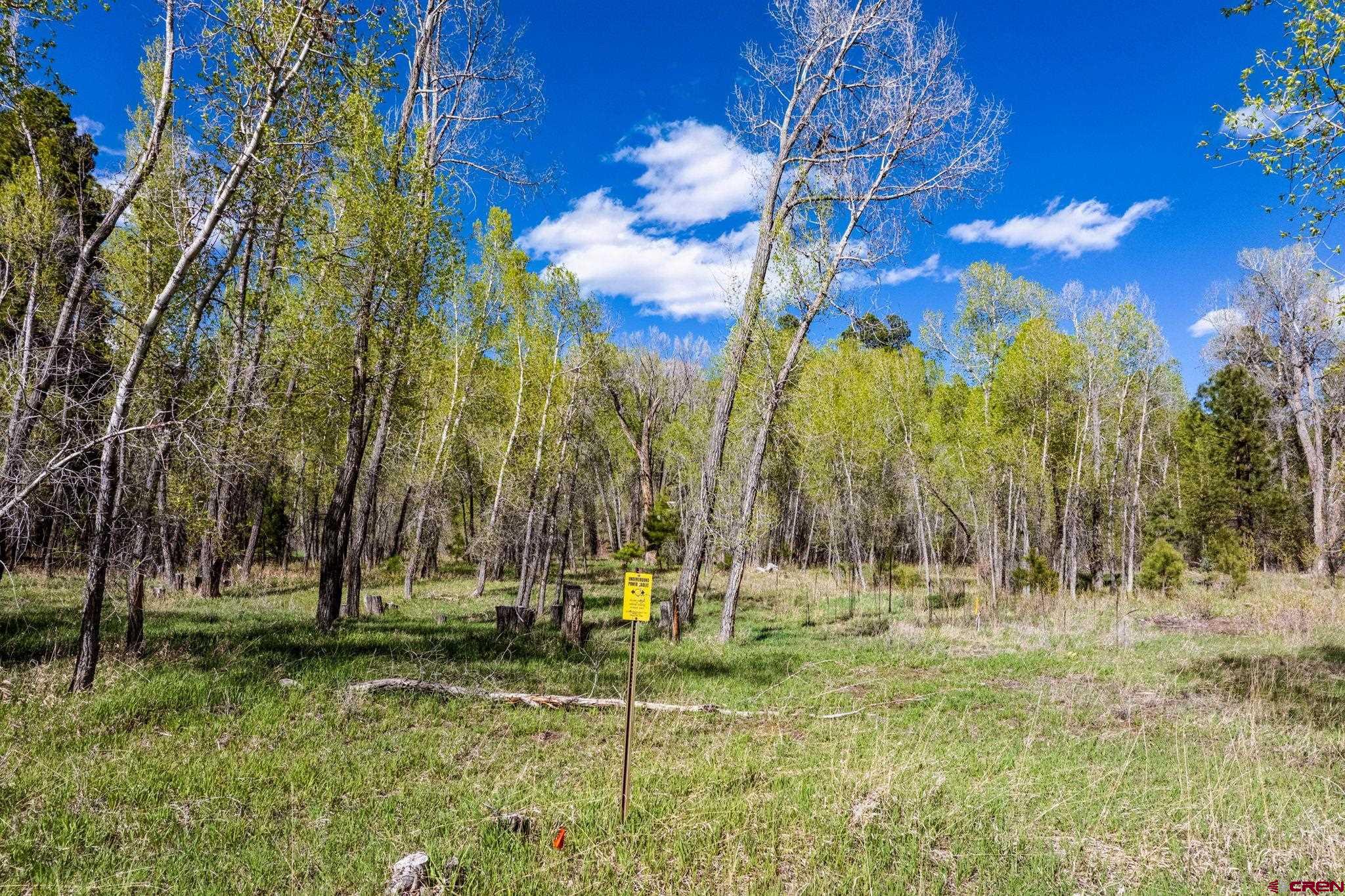 65 Pinestone Drive Bayfield, CO 81122 - Photo 14 of 35