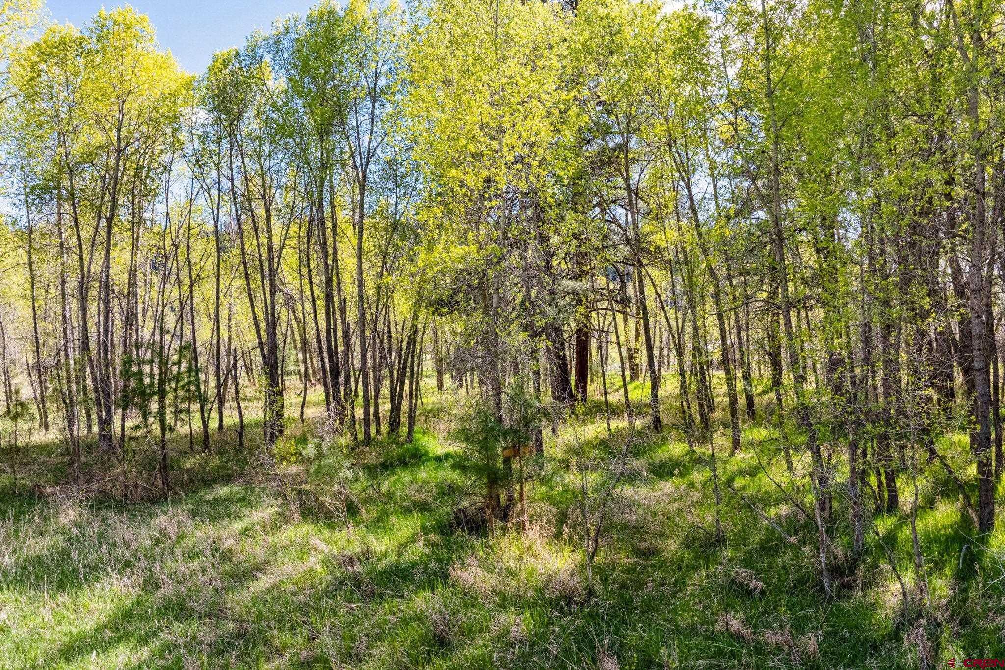 65 Pinestone Drive Bayfield, CO 81122 - Photo 19 of 35