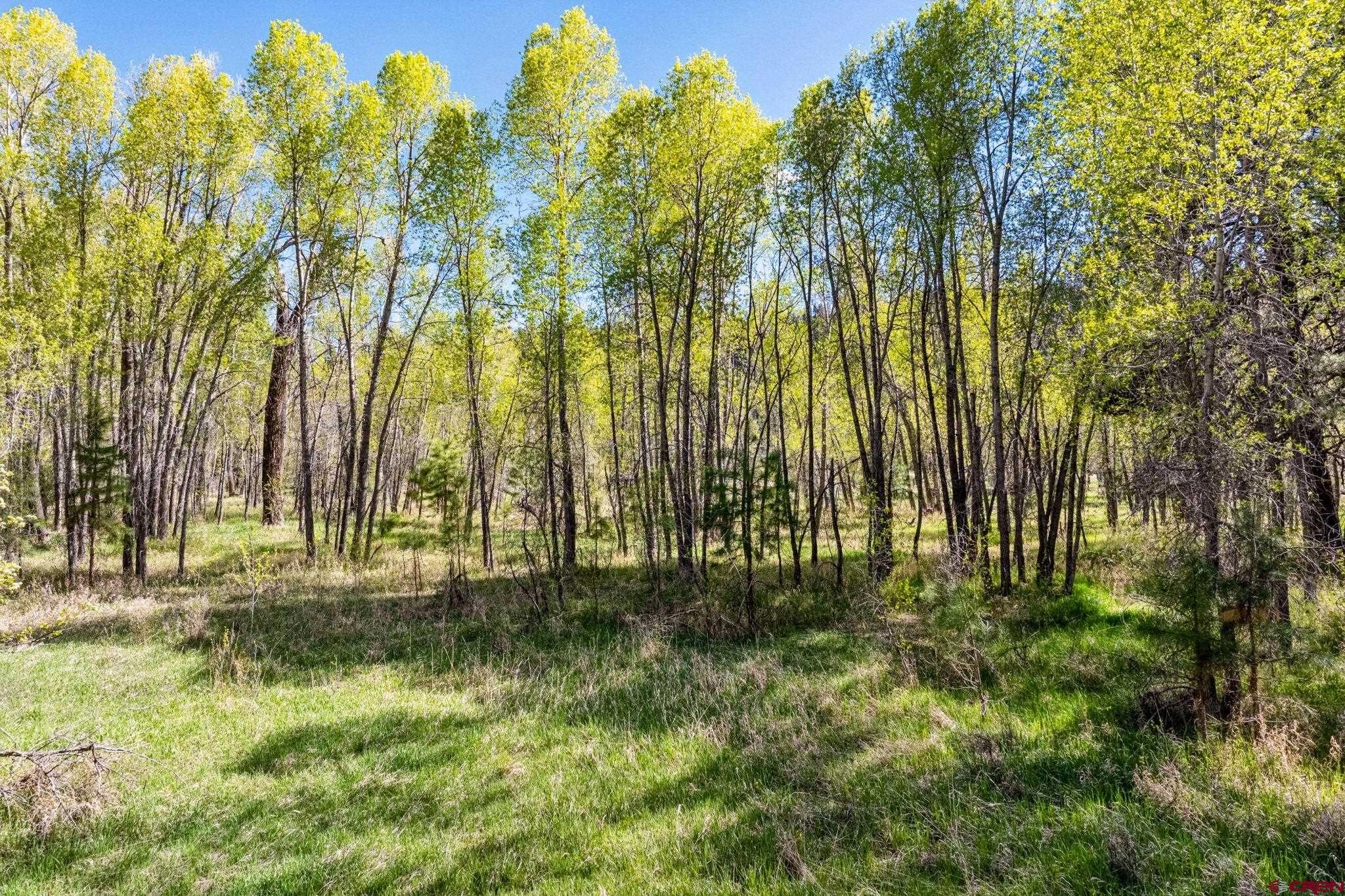 65 Pinestone Drive Bayfield, CO 81122 - Photo 20 of 35