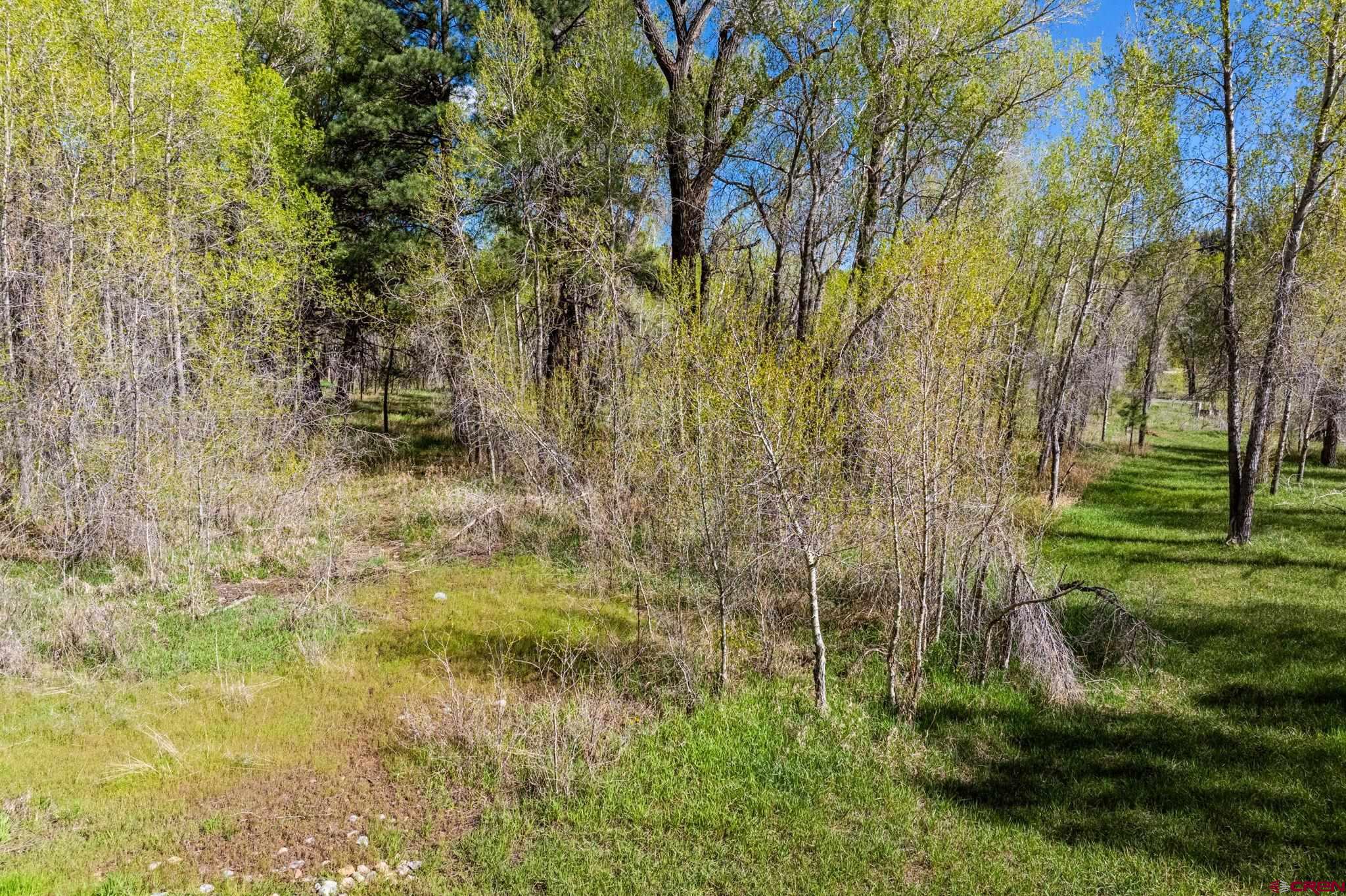 65 Pinestone Drive Bayfield, CO 81122 - Photo 22 of 35