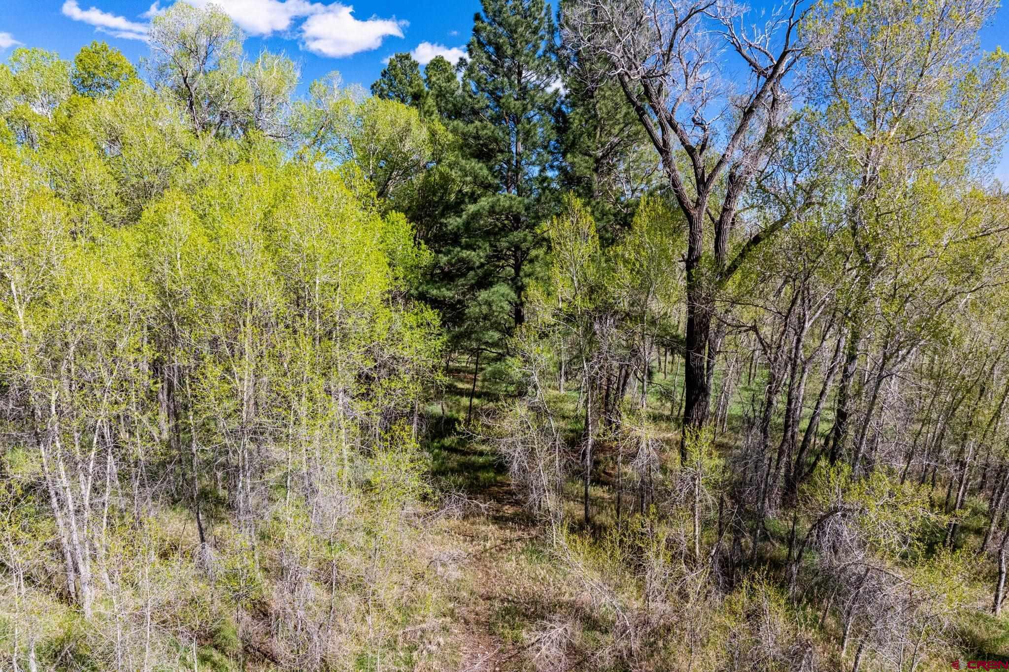 65 Pinestone Drive Bayfield, CO 81122 - Photo 23 of 35