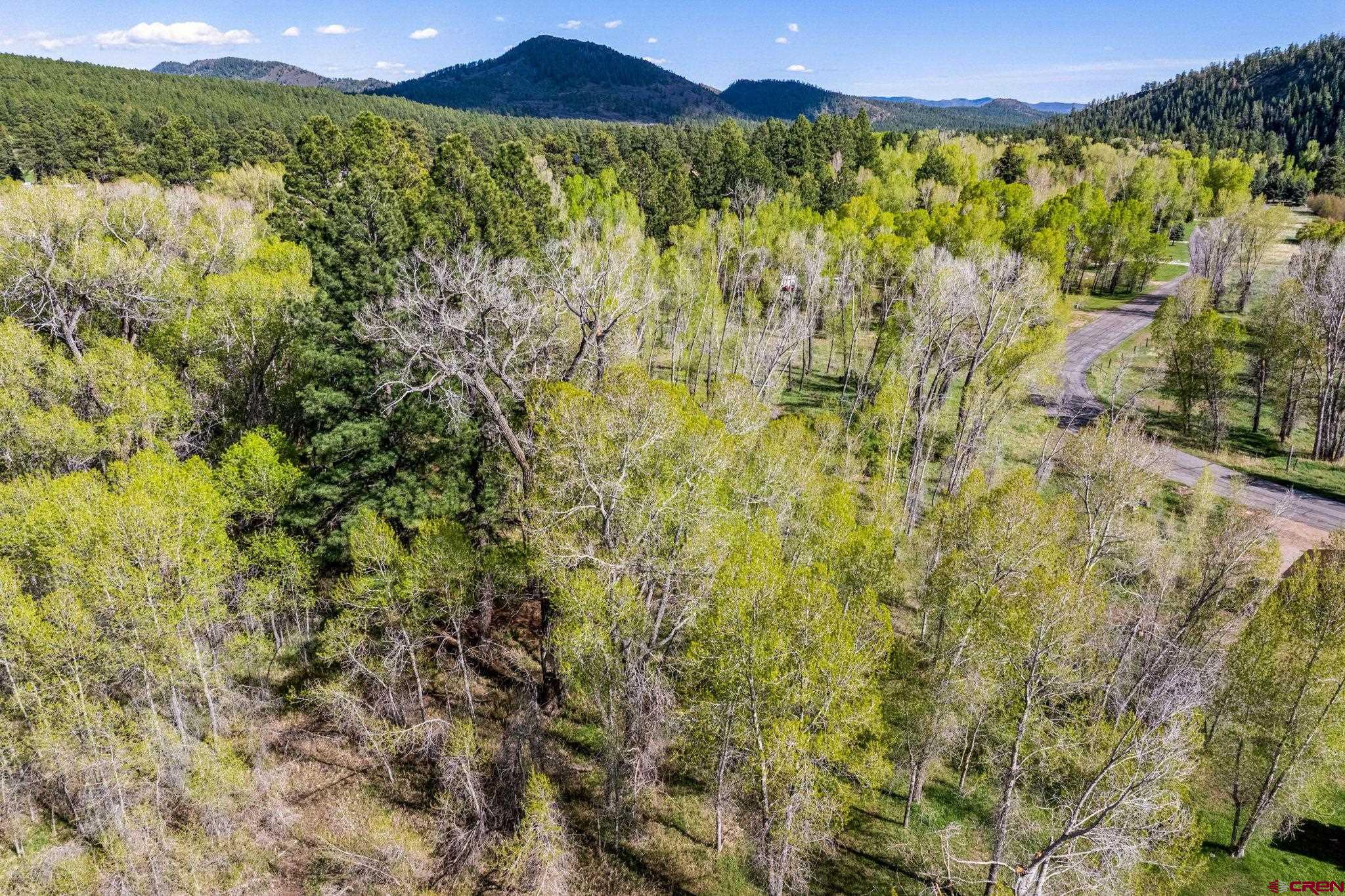 65 Pinestone Drive Bayfield, CO 81122 - Photo 24 of 35