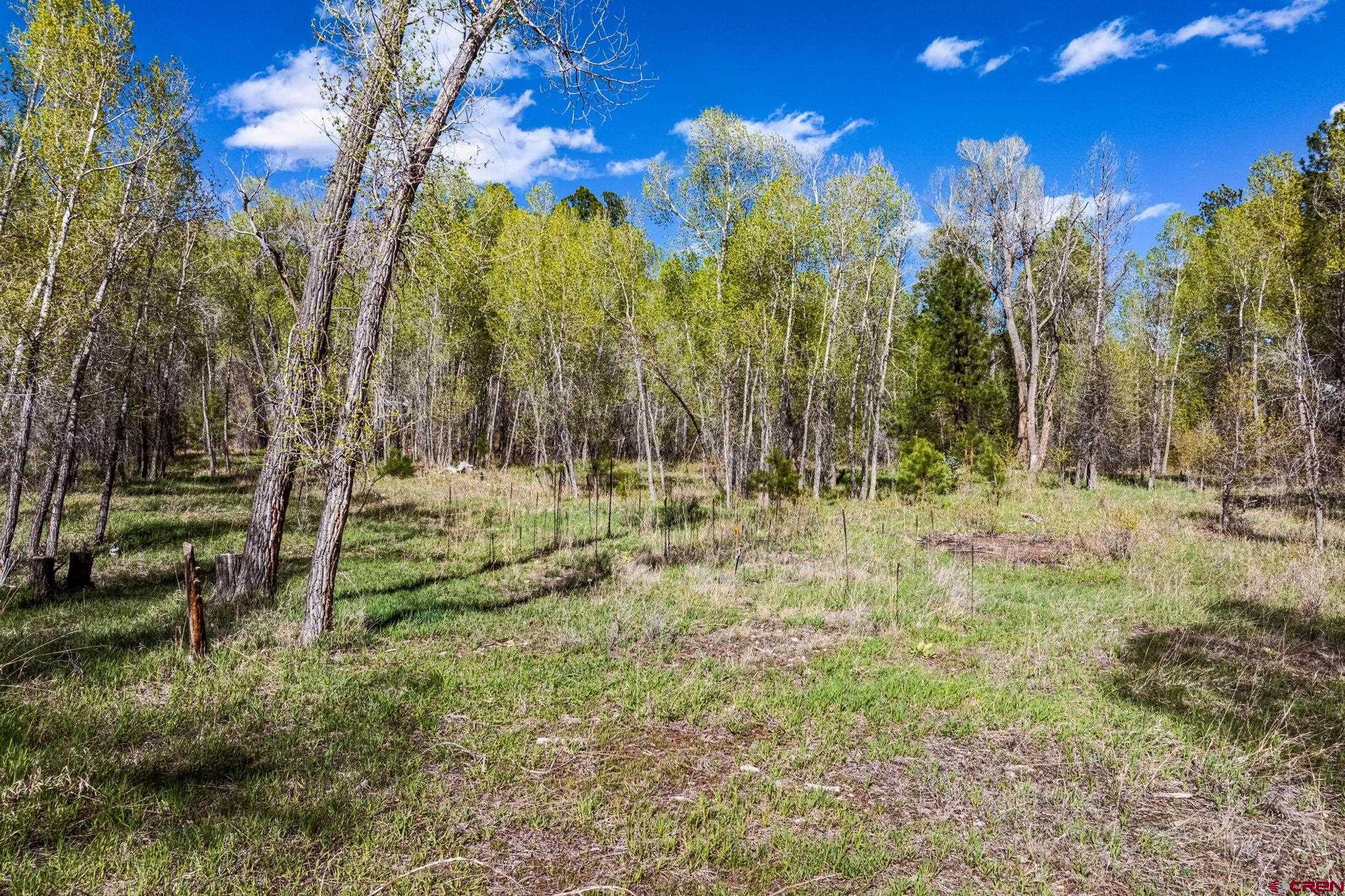 65 Pinestone Drive Bayfield, CO 81122 - Photo 25 of 35