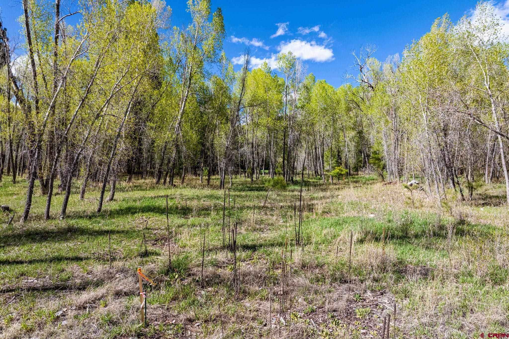 65 Pinestone Drive Bayfield, CO 81122 - Photo 26 of 35