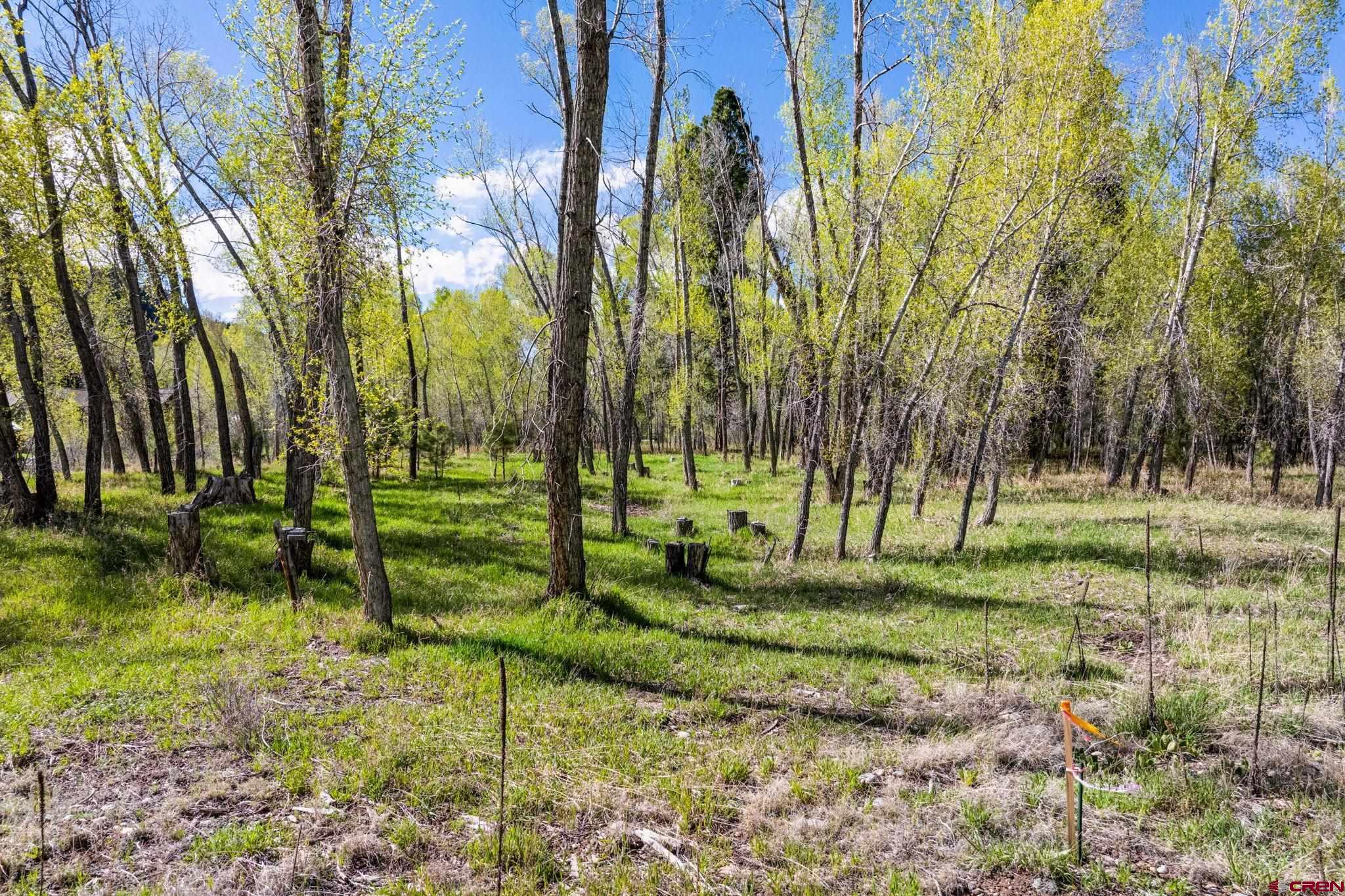 65 Pinestone Drive Bayfield, CO 81122 - Photo 27 of 35