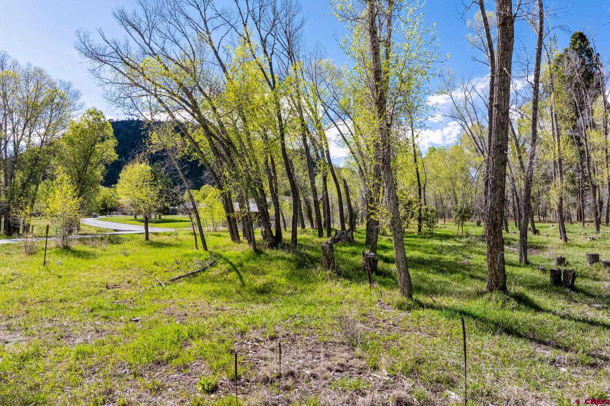 65 Pinestone Drive Bayfield, CO 81122 - Photo 28 of 35