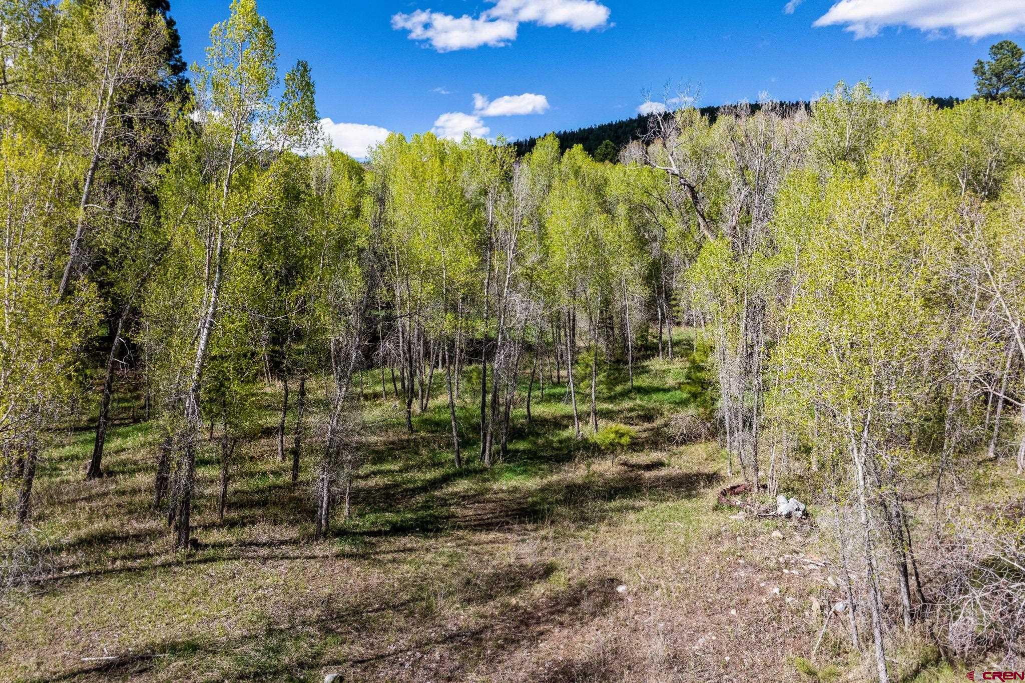 65 Pinestone Drive Bayfield, CO 81122 - Photo 29 of 35