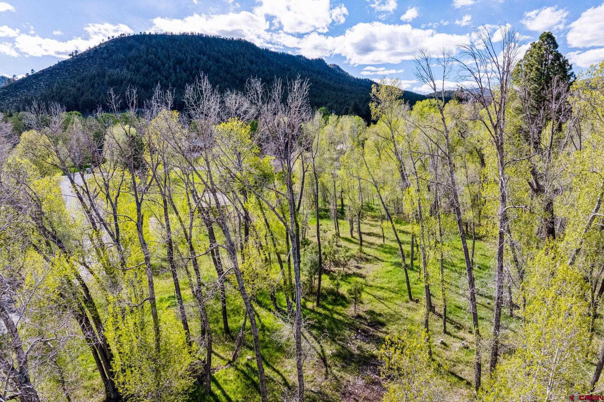 65 Pinestone Drive Bayfield, CO 81122 - Photo 30 of 35
