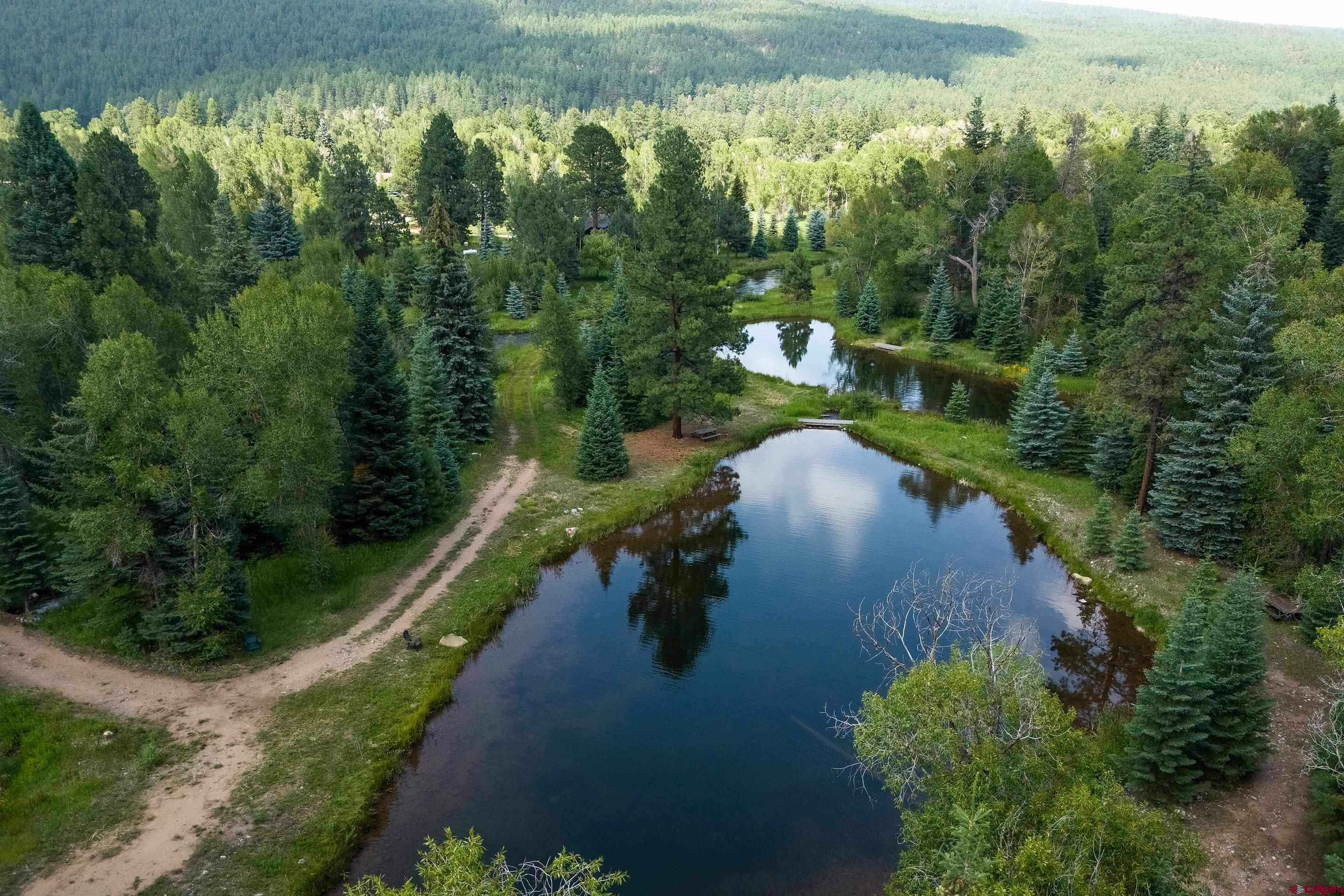 65 Pinestone Drive Bayfield, CO 81122 - Photo 4 of 35