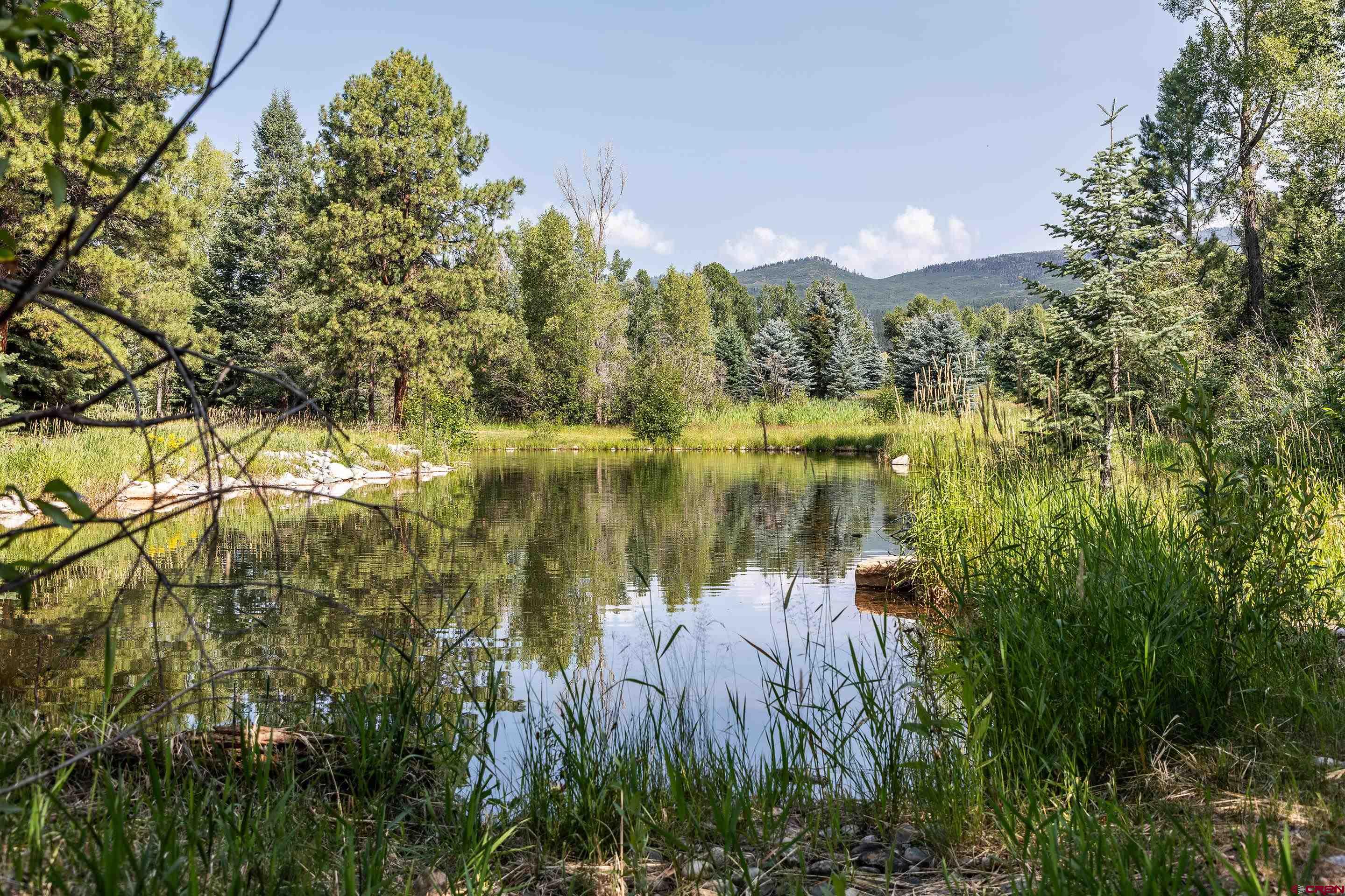 65 Pinestone Drive Bayfield, CO 81122 - Photo 5 of 35