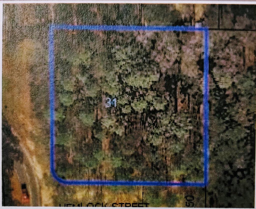 Lot 1 Blackman Road Eufaula, AL 36027 - Photo 1 of 1