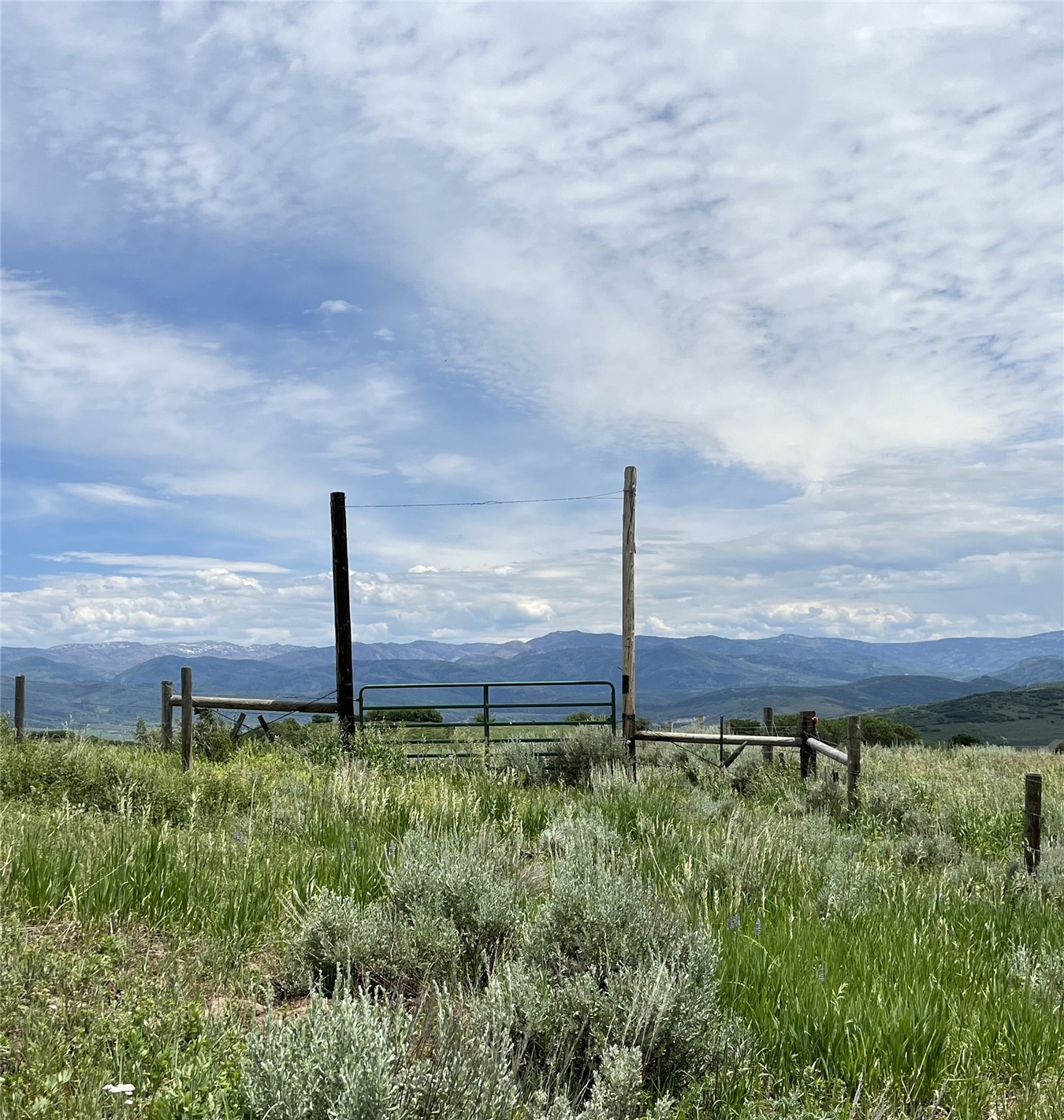 46 Routt County Road Steamboat Springs, CO 80487 - Photo 20 of 23 a view of a back yard