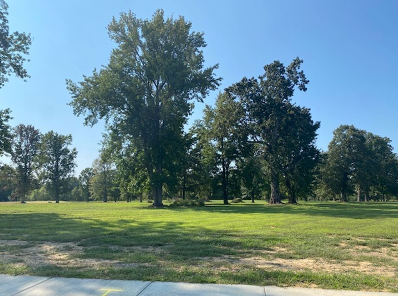 4100 Roane Drive White House, TN 37188 - Photo 30 of 33