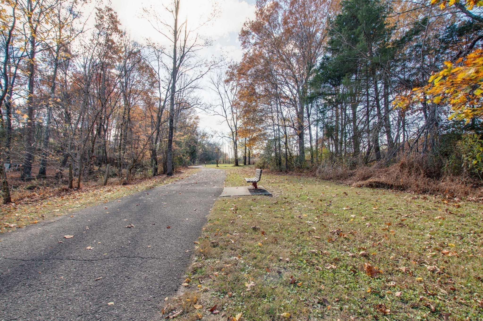 4100 Roane Drive White House, TN 37188 - Photo 31 of 33