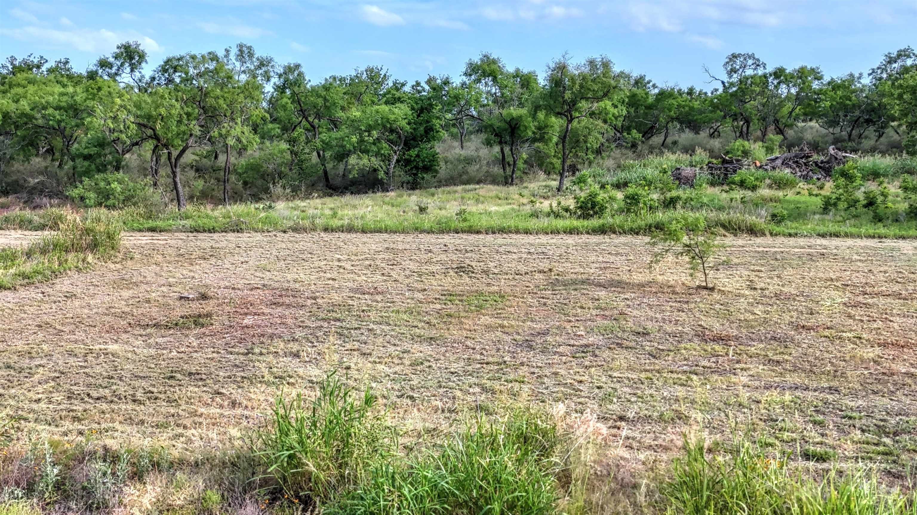 0 East Highway 71 Valley Spring, TX 76885 - Photo 11 of 25 an outdoor space with lots of trees