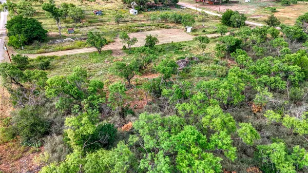 a view of a lush green forest with lots of trees