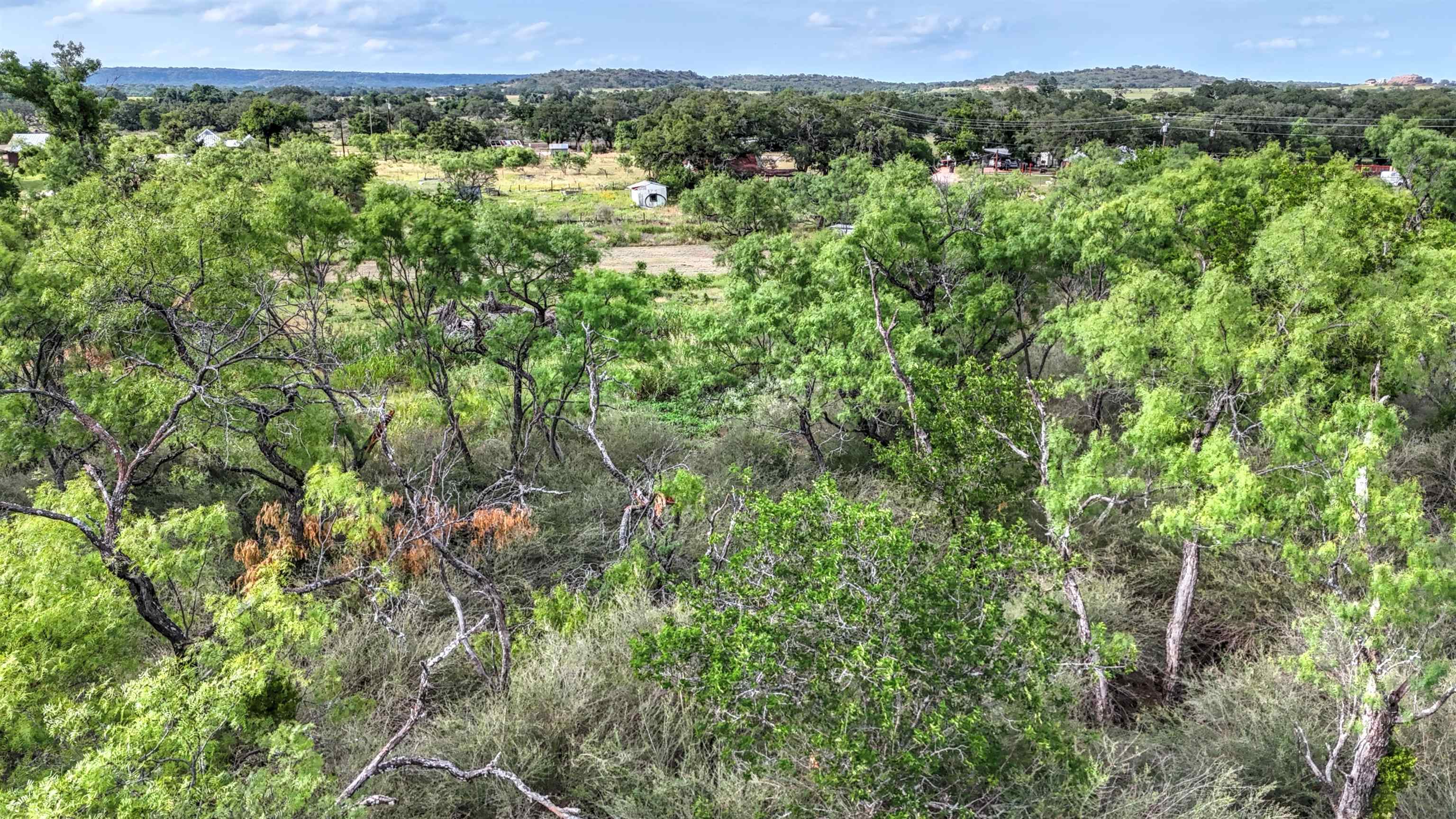 0 East Highway 71 Valley Spring, TX 76885 - Photo 14 of 25 a view of a lush green forest with lots of trees