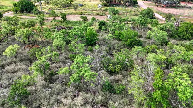 a view of a garden from a balcony